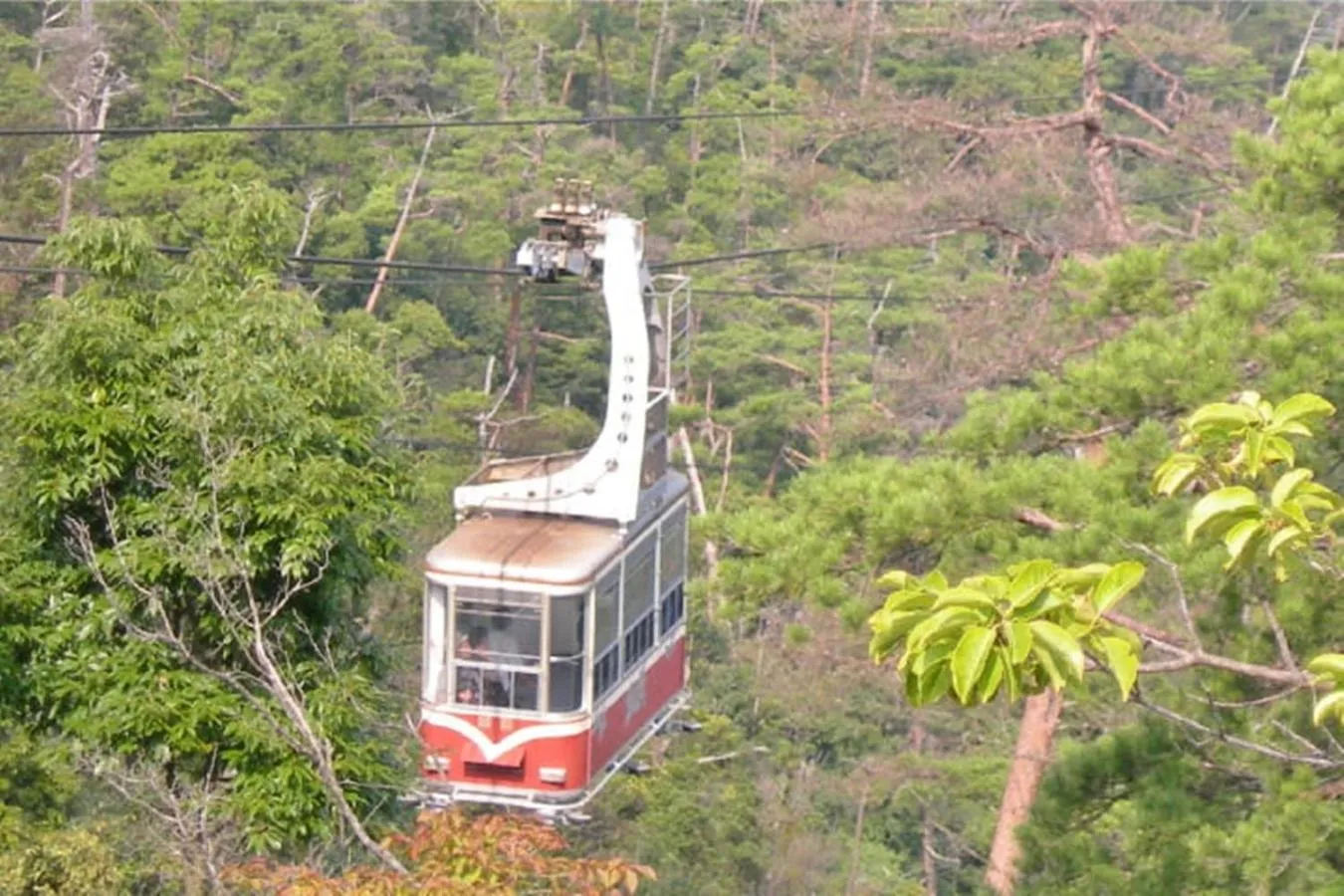 Hiking in Miyajima Shiro