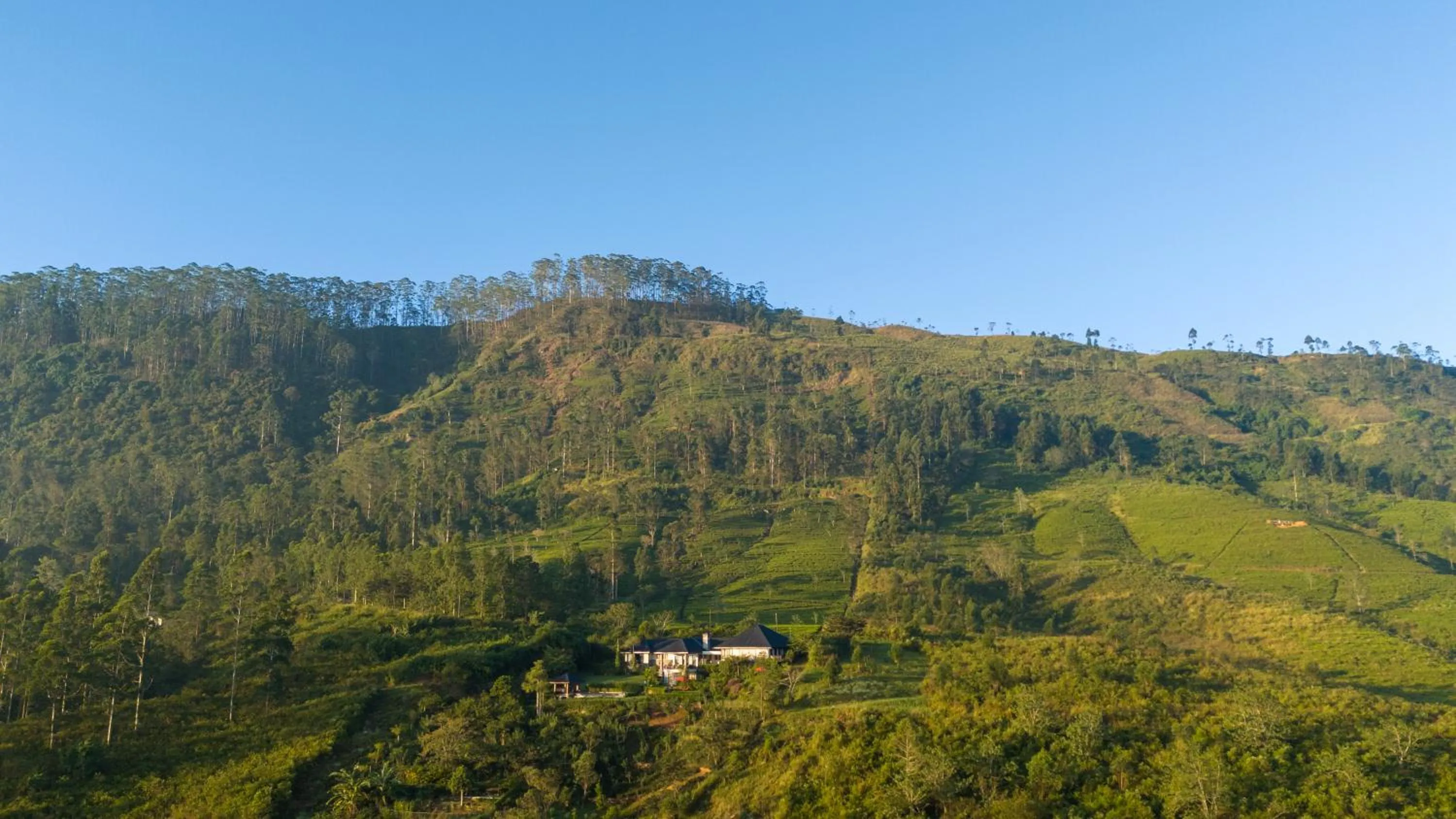 View (from property/room) in Camellia Hills