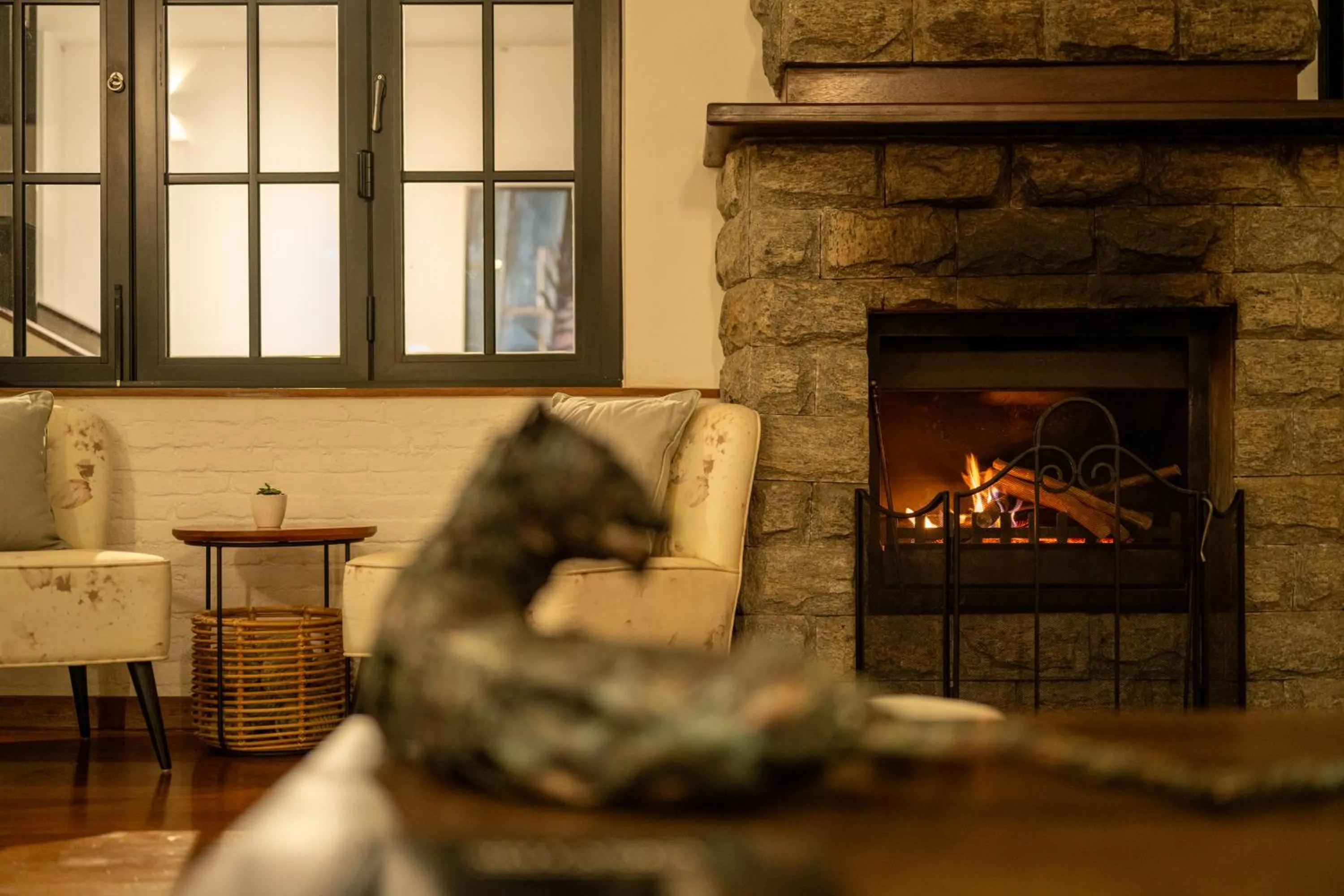 fireplace in Camellia Hills