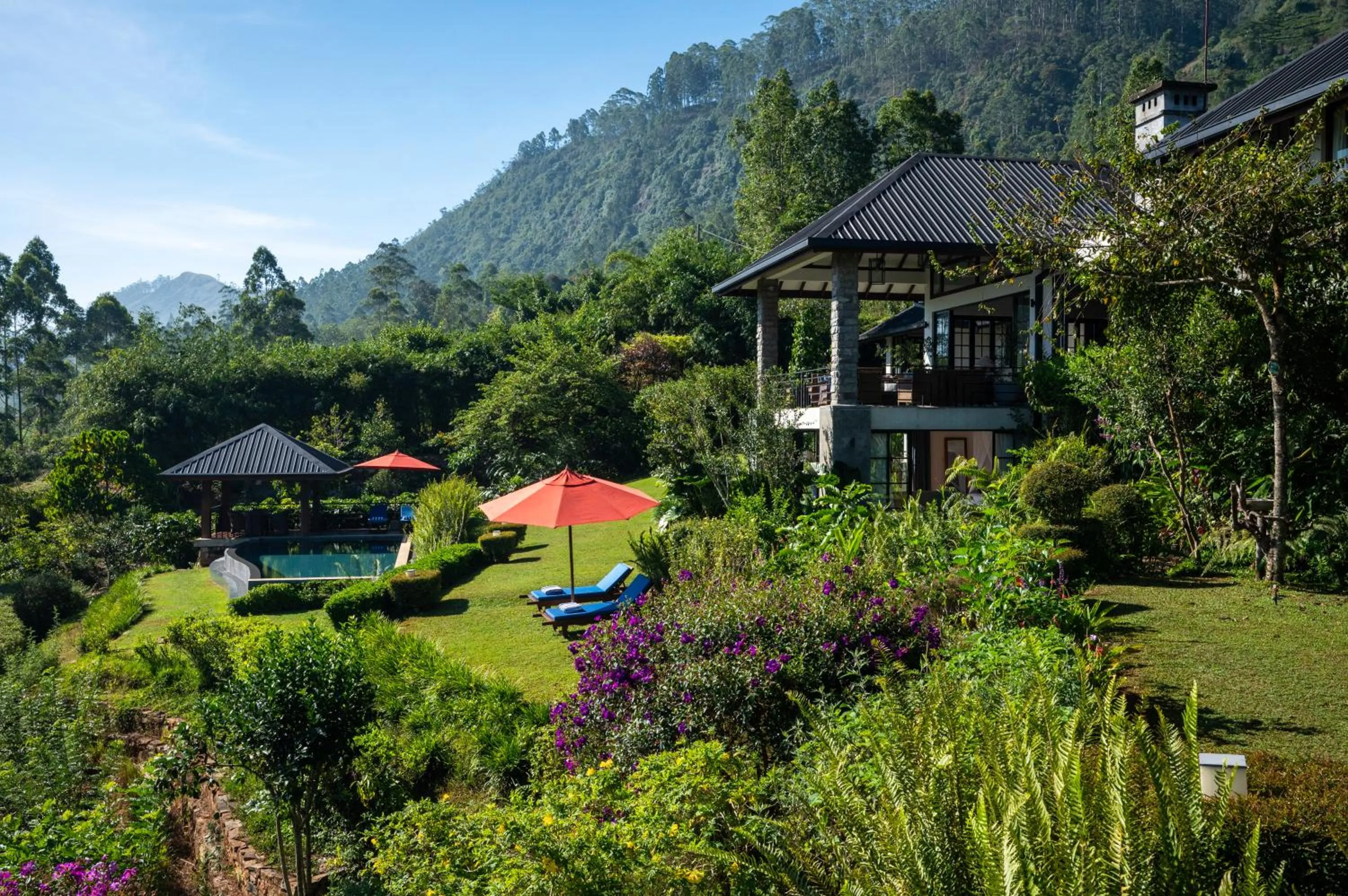 Garden in Camellia Hills