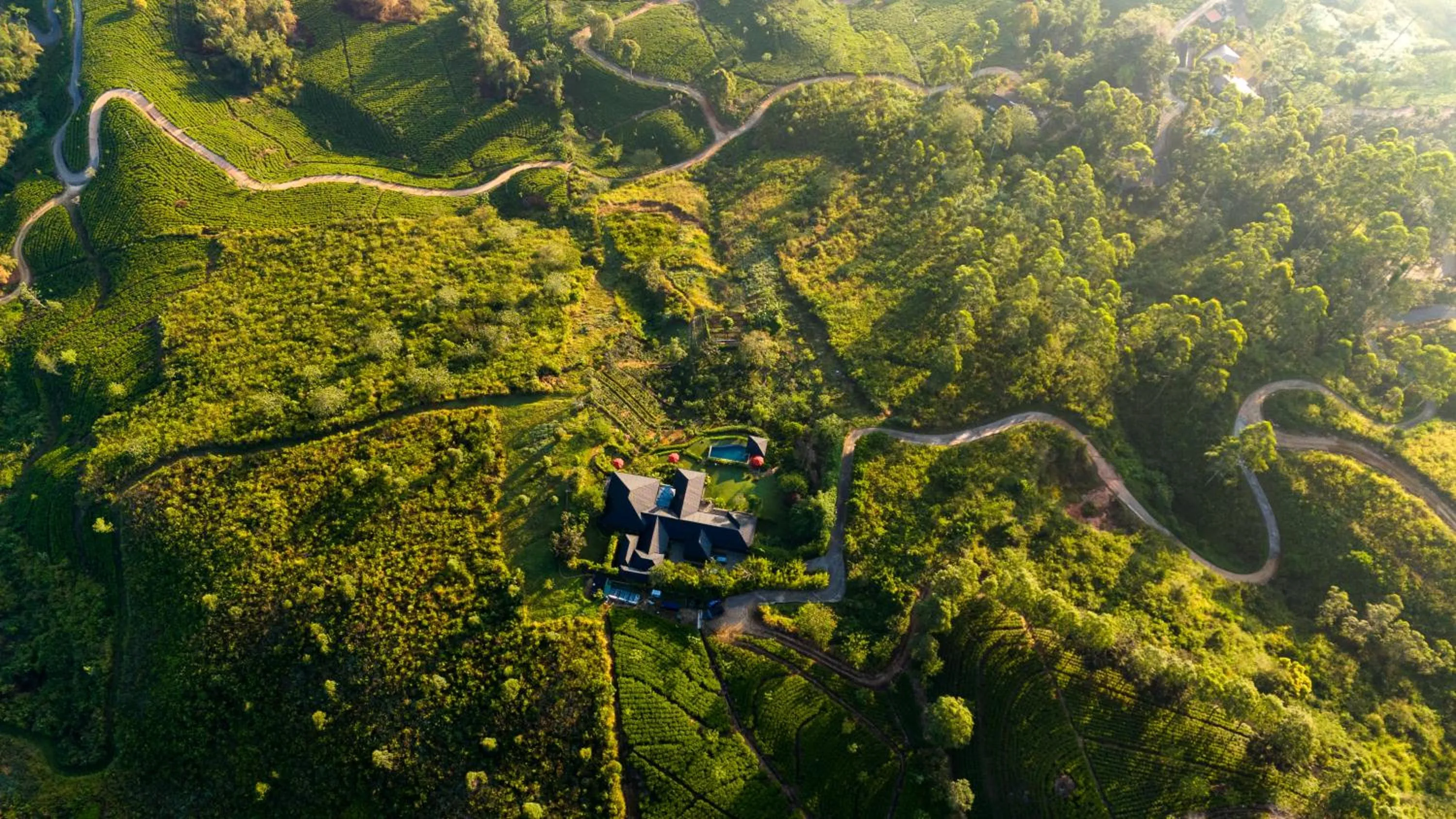 View (from property/room) in Camellia Hills