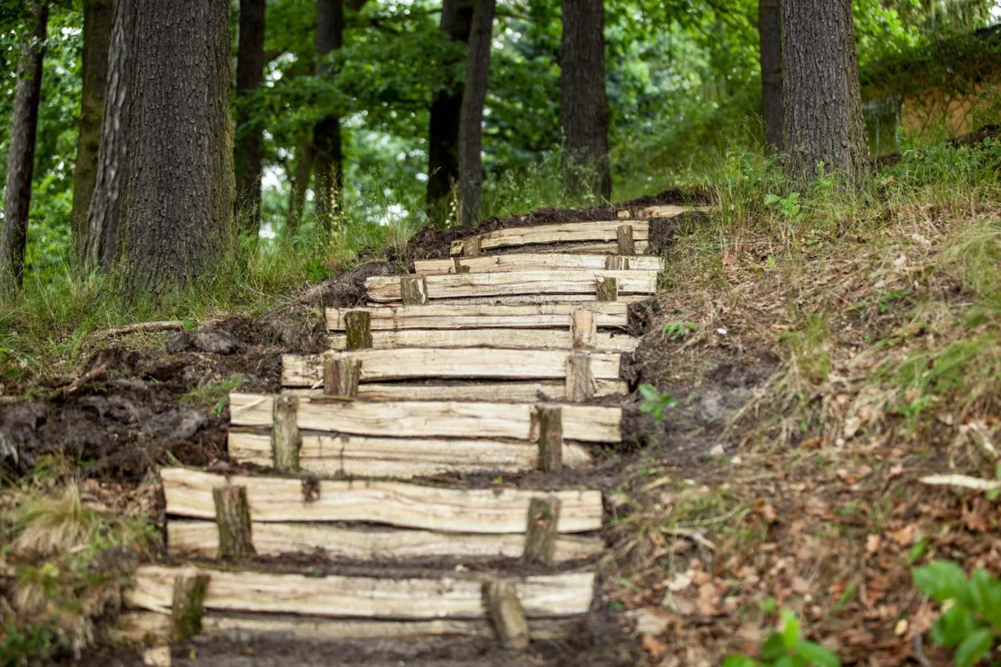 Natural landscape in Waldsee Hotel am Wirchensee