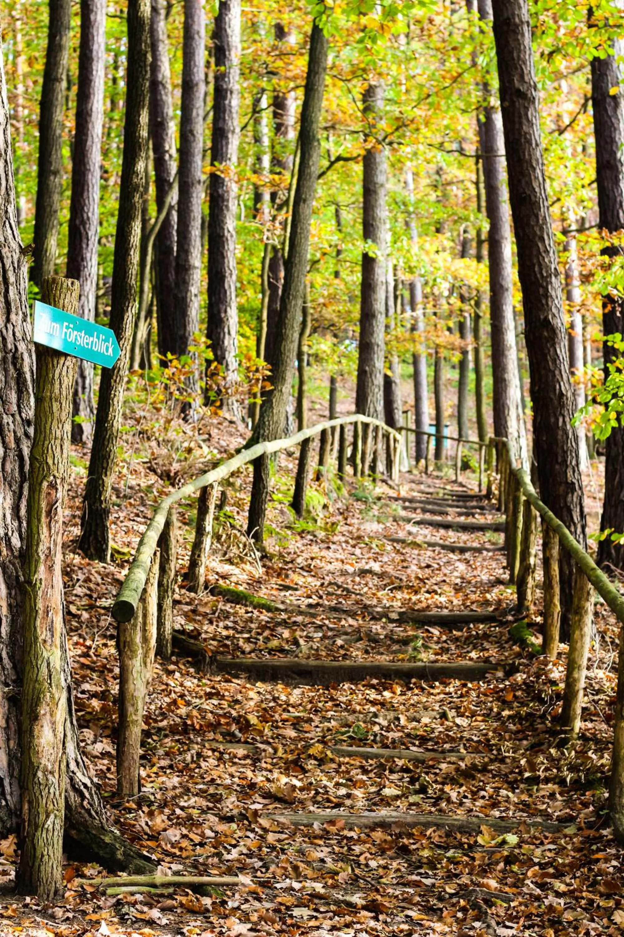 Waldsee Hotel am Wirchensee