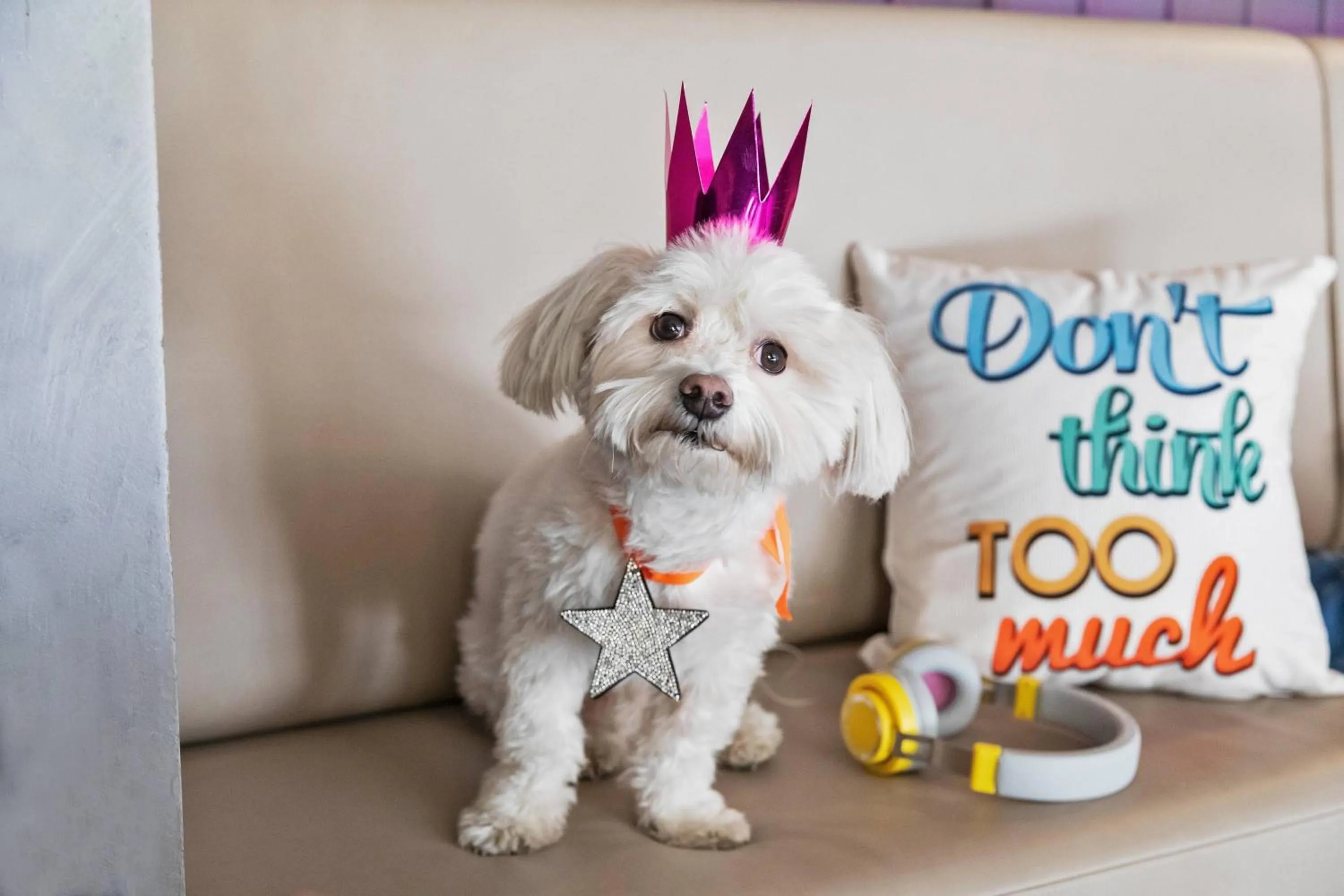 Other in Moxy Bucharest Old Town