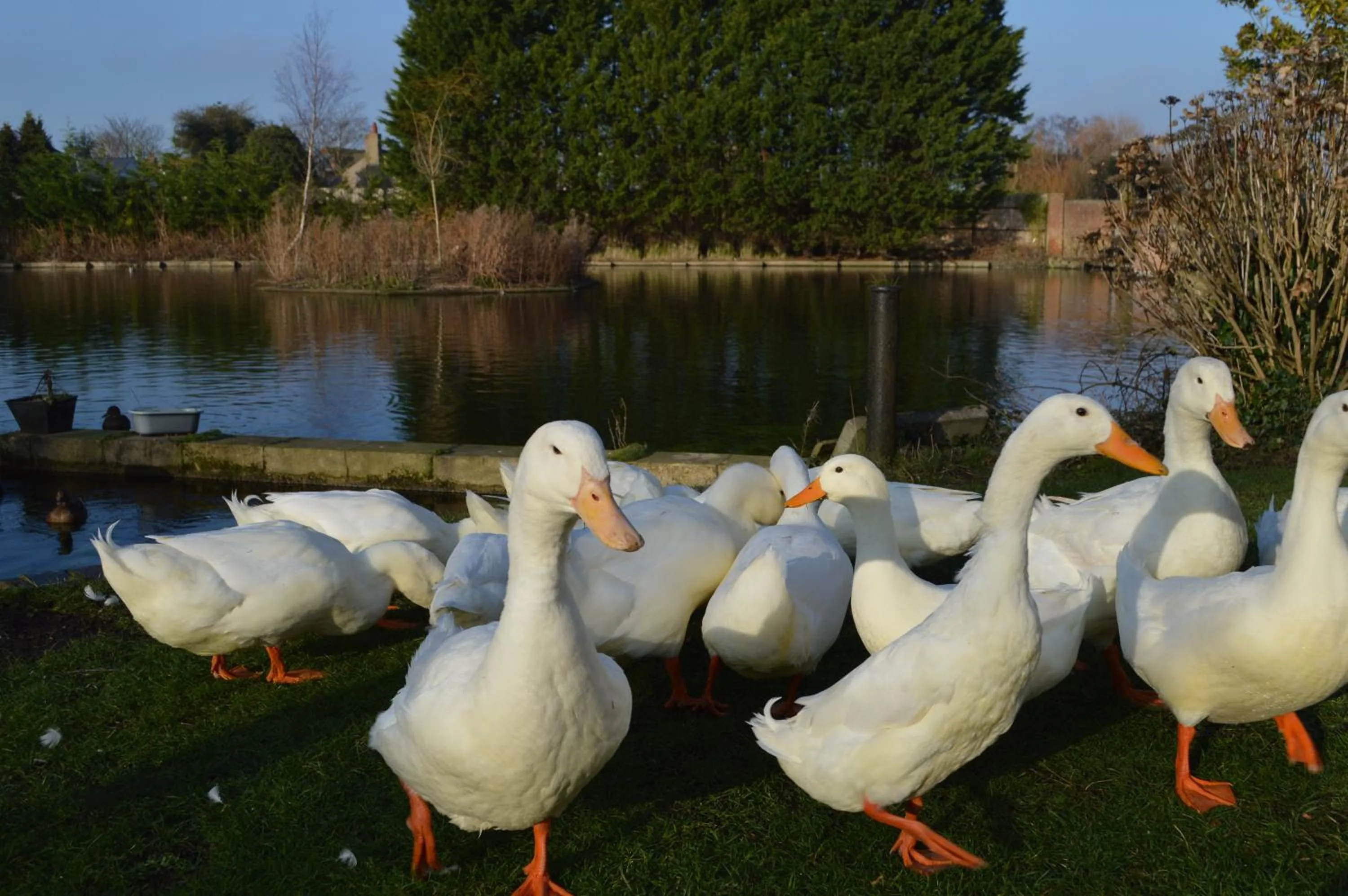 Natural landscape in Lakeside Old Hunstanton