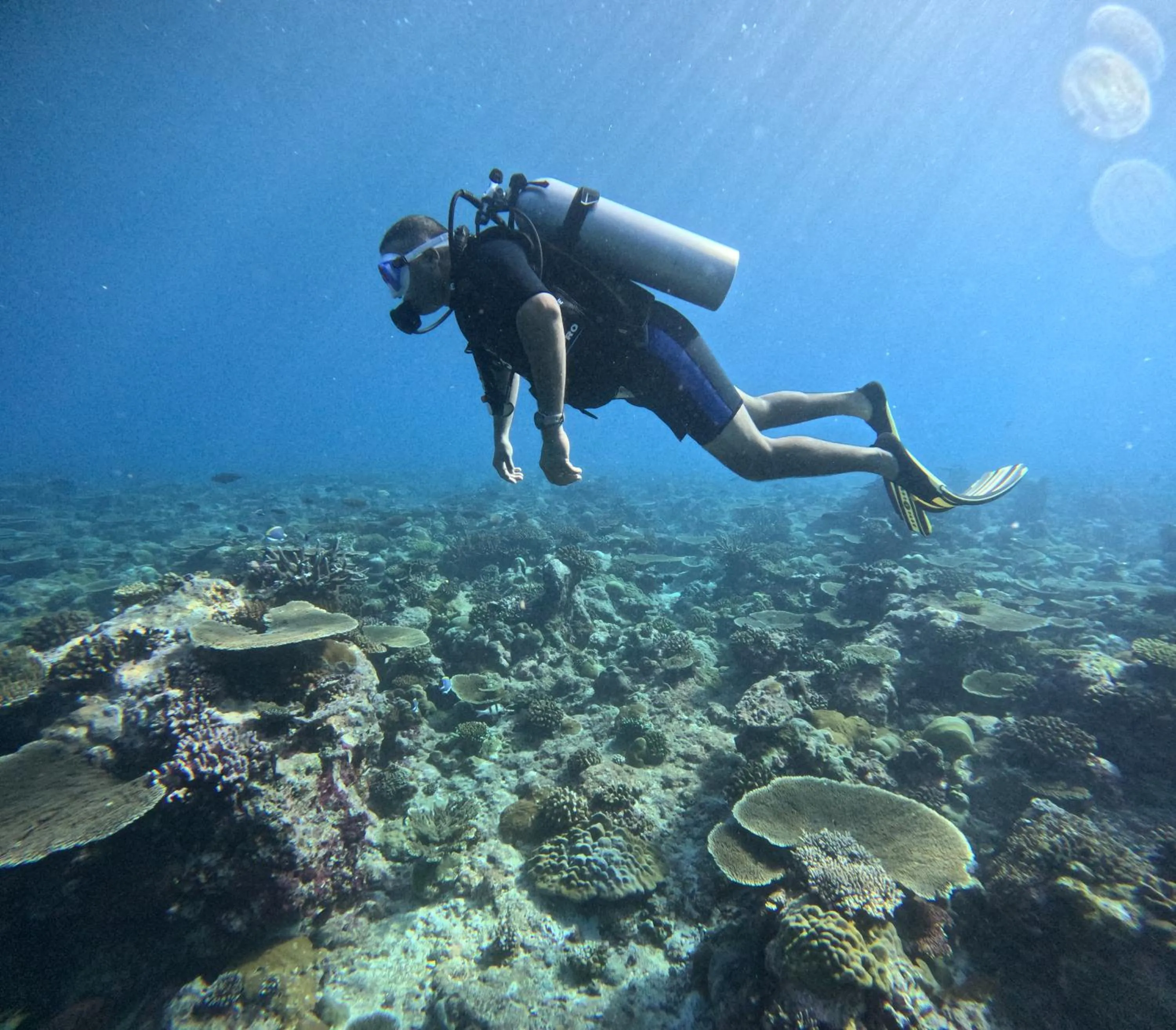 Diving in Fiyavalhu Resort Maldives