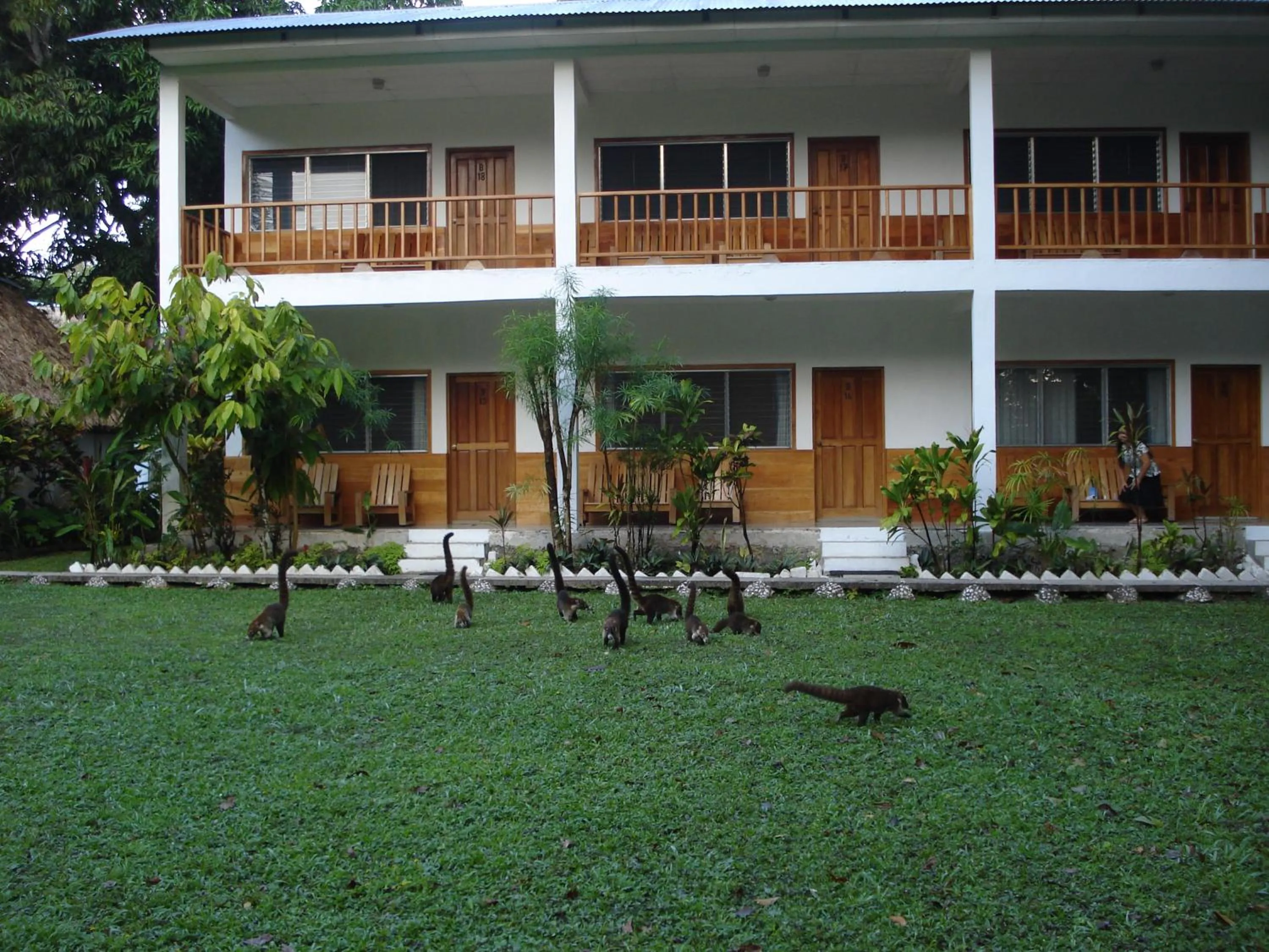 Hotel Tikal Inn
