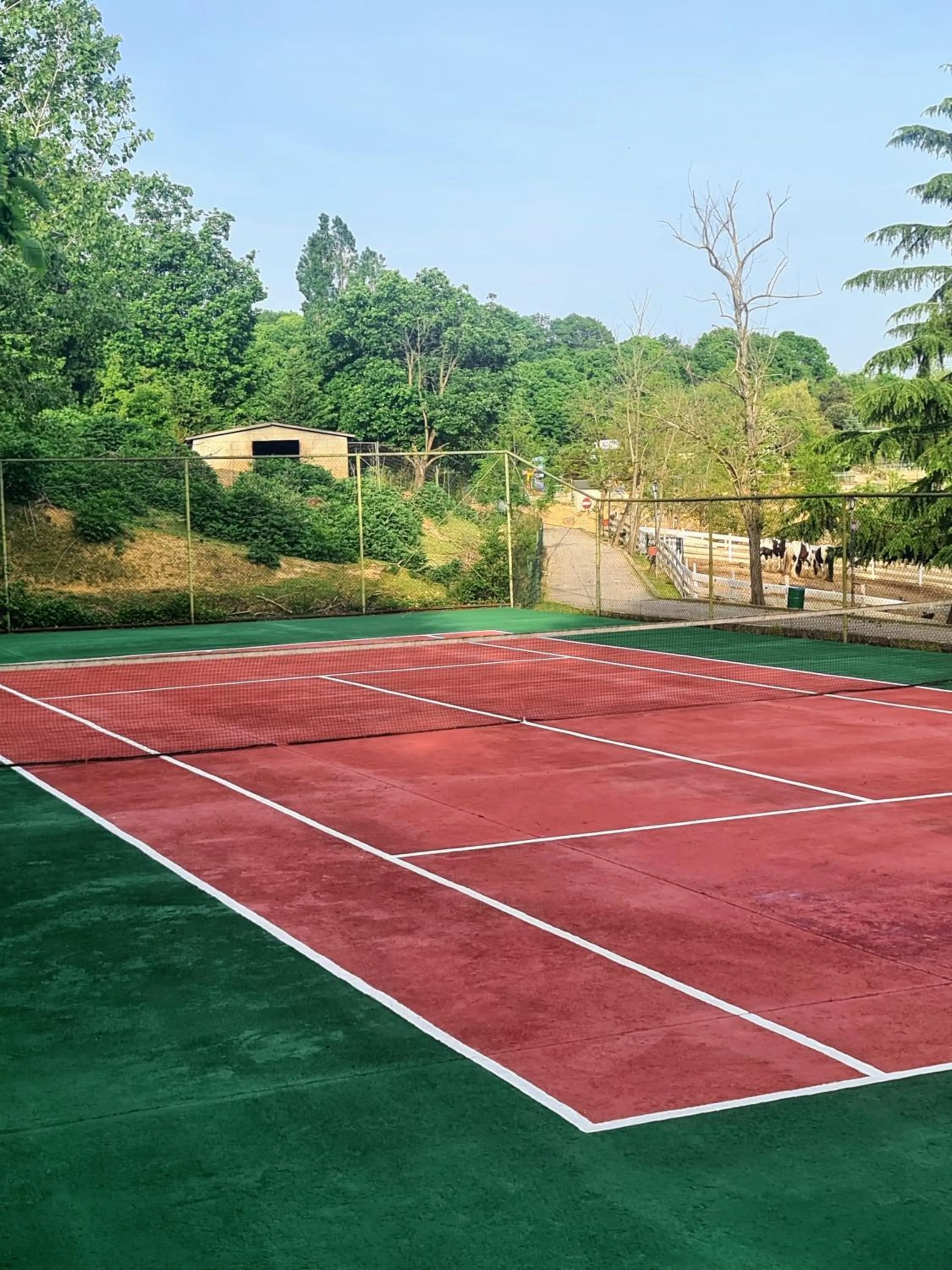 Tennis court in Polonezköy Country Club & Accommodation in the Wildlife Park!