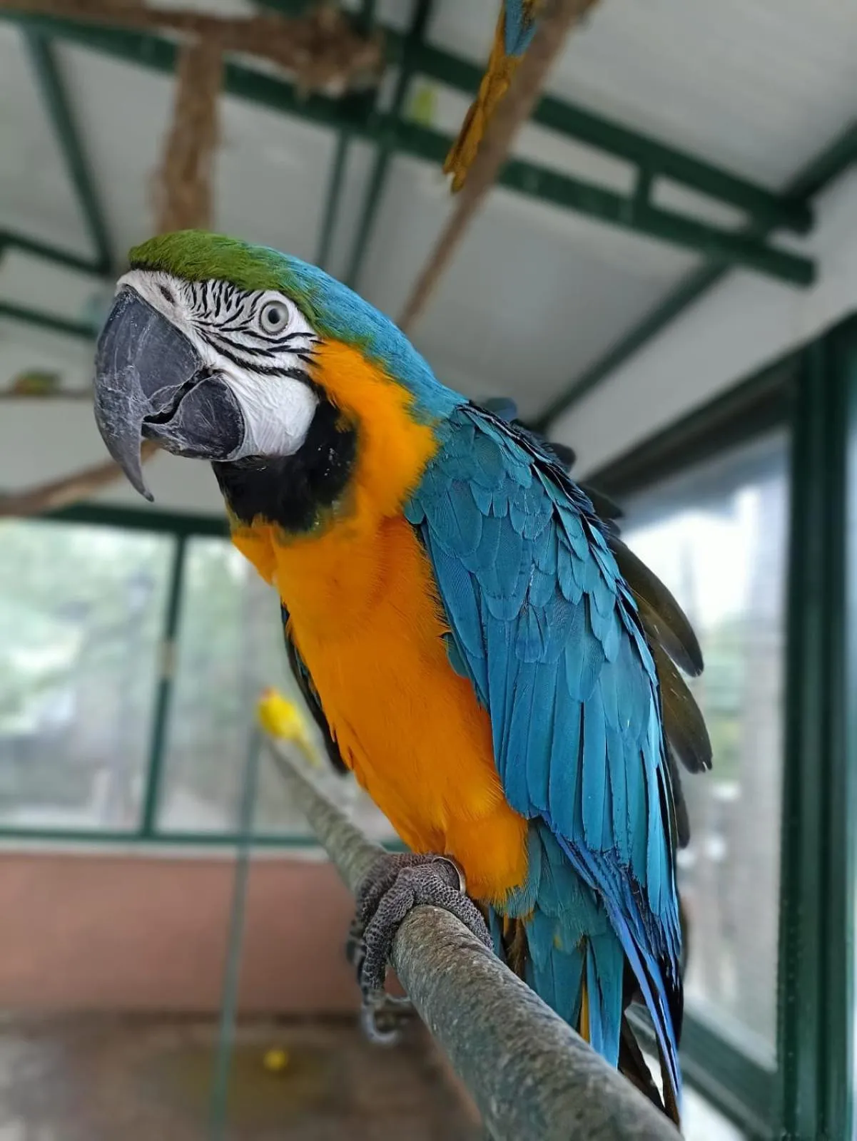 Property building in Polonezköy Country Club & Accommodation in the Wildlife Park!