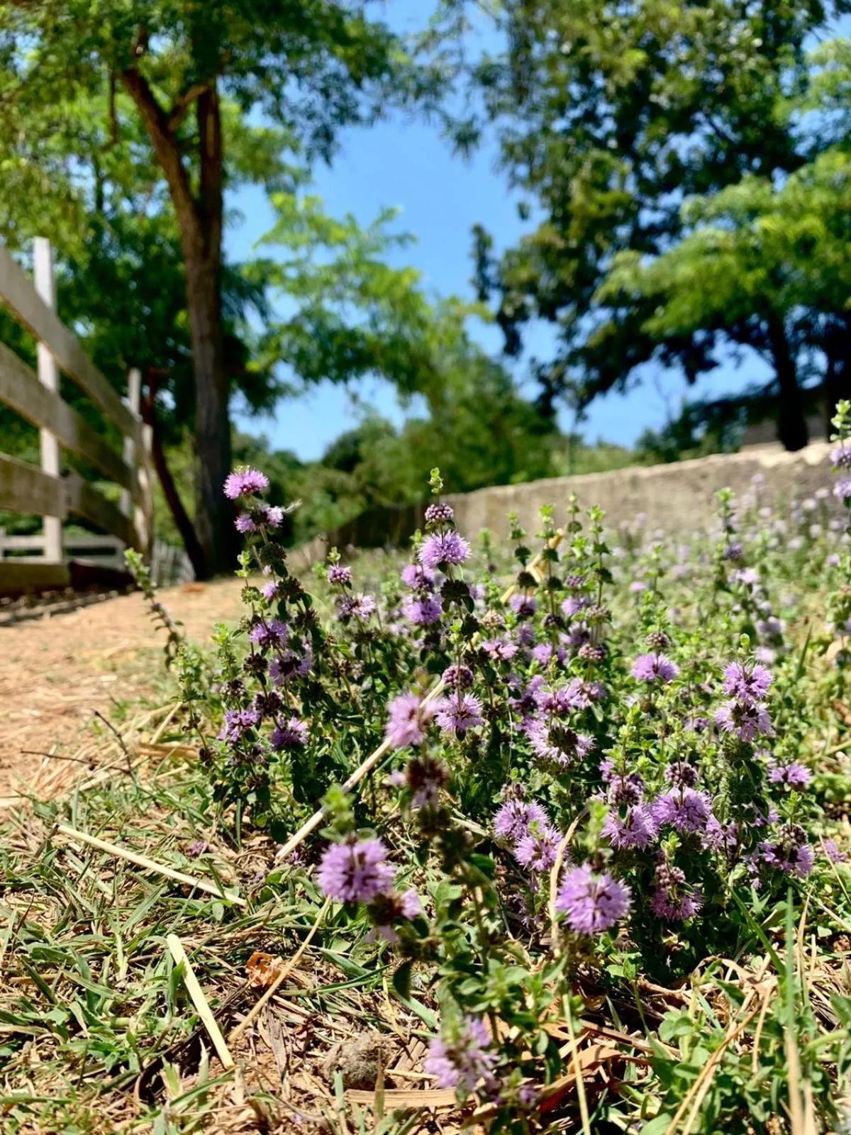 Natural landscape in Polonezköy Country Club & Accommodation in the Wildlife Park!