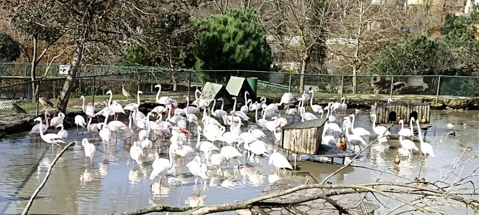 Property building in Polonezköy Country Club & Accommodation in the Wildlife Park!