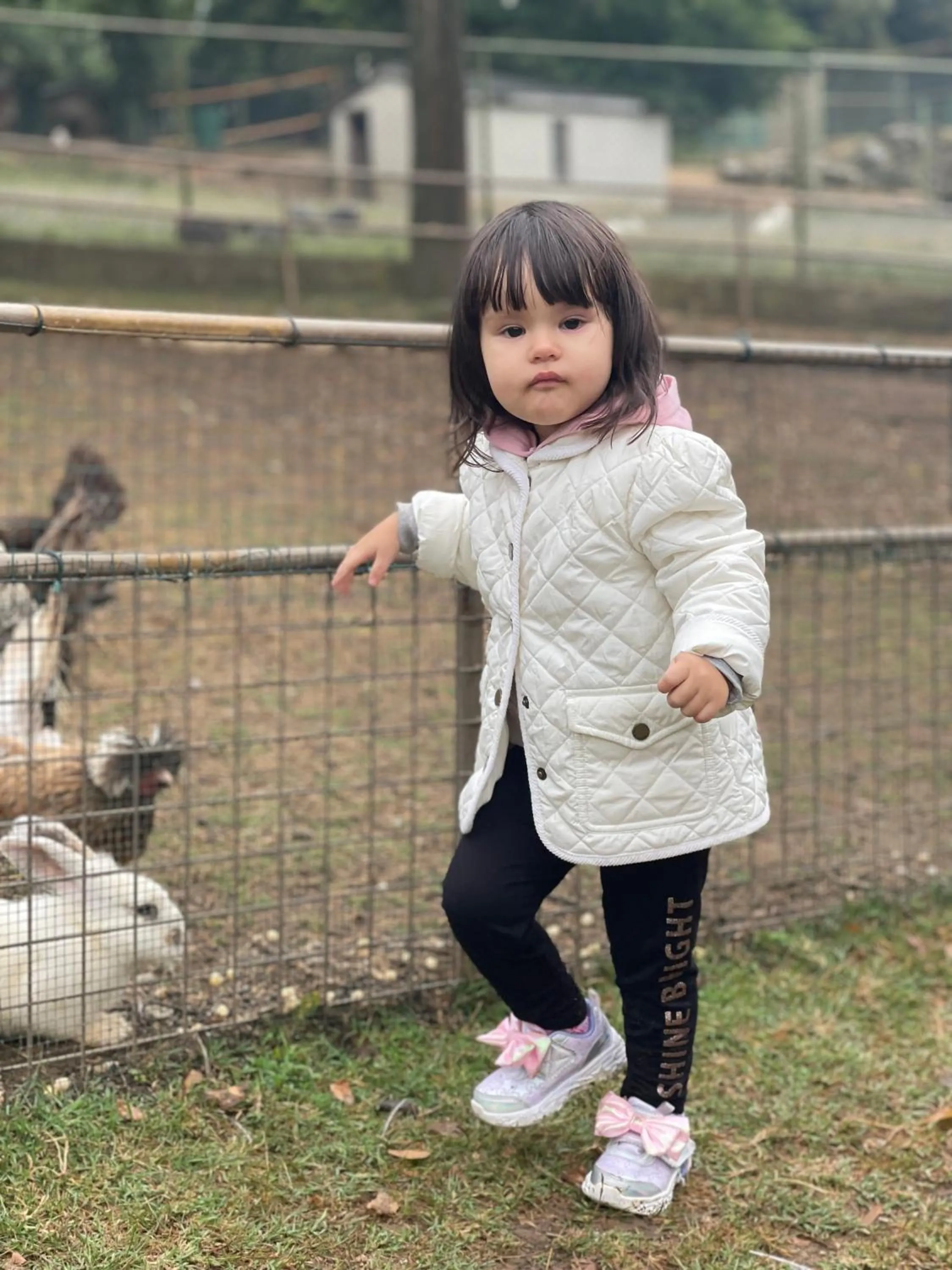 People in Polonezköy Country Club & Accommodation in the Wildlife Park!