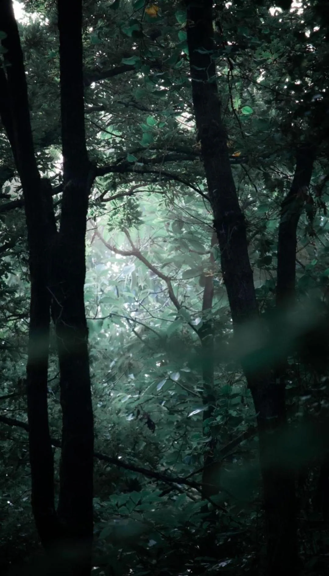 Natural landscape in Polonezköy Country Club & Accommodation in the Wildlife Park!