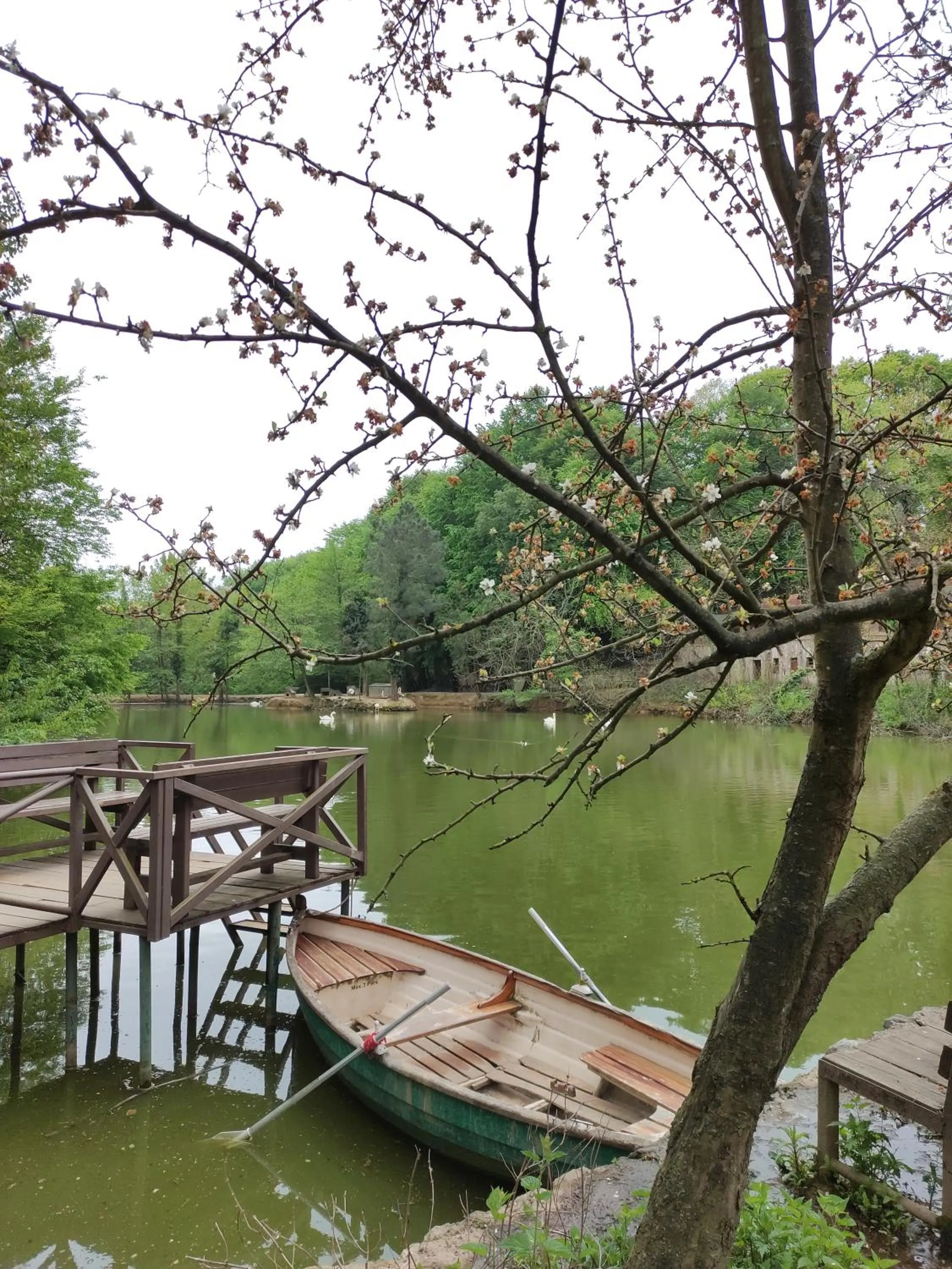Garden view in Polonezköy Country Club & Accommodation in the Wildlife Park!