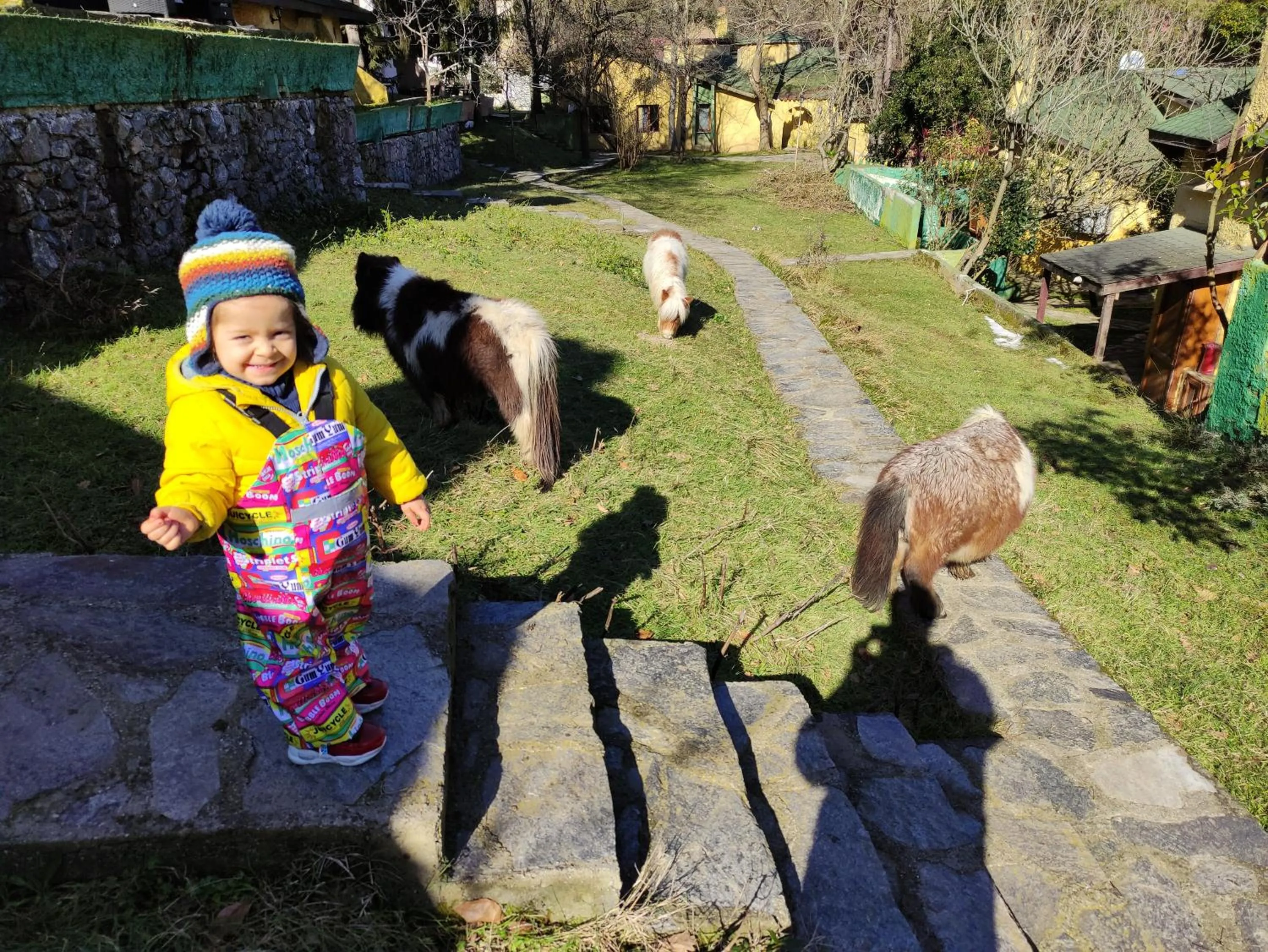 Garden in Polonezköy Country Club & Accommodation in the Wildlife Park!