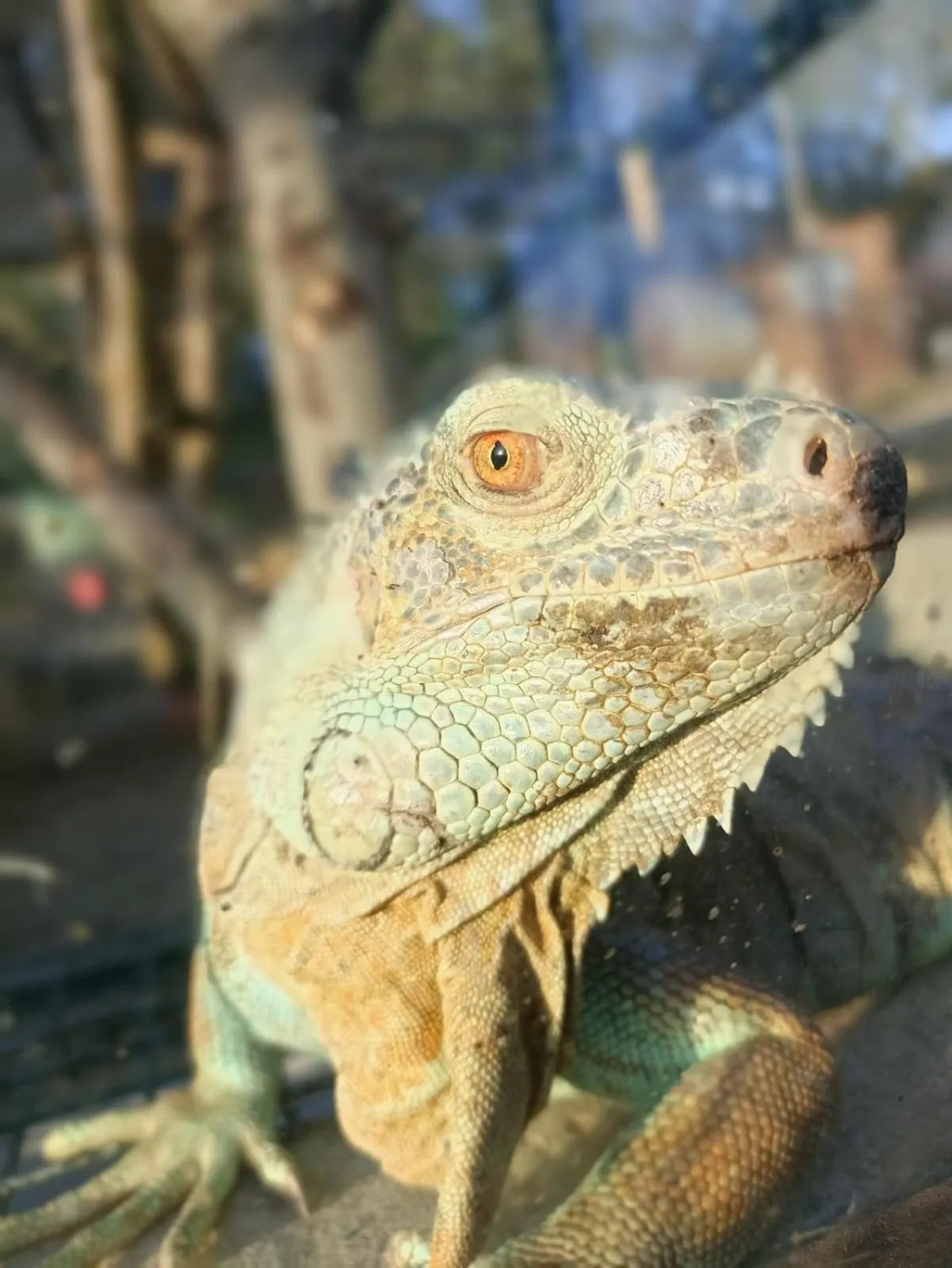 Property building in Polonezköy Country Club & Accommodation in the Wildlife Park!