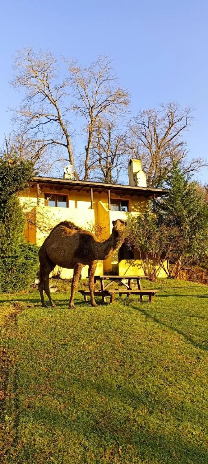 Restaurant/places to eat in Polonezköy Country Club & Accommodation in the Wildlife Park!