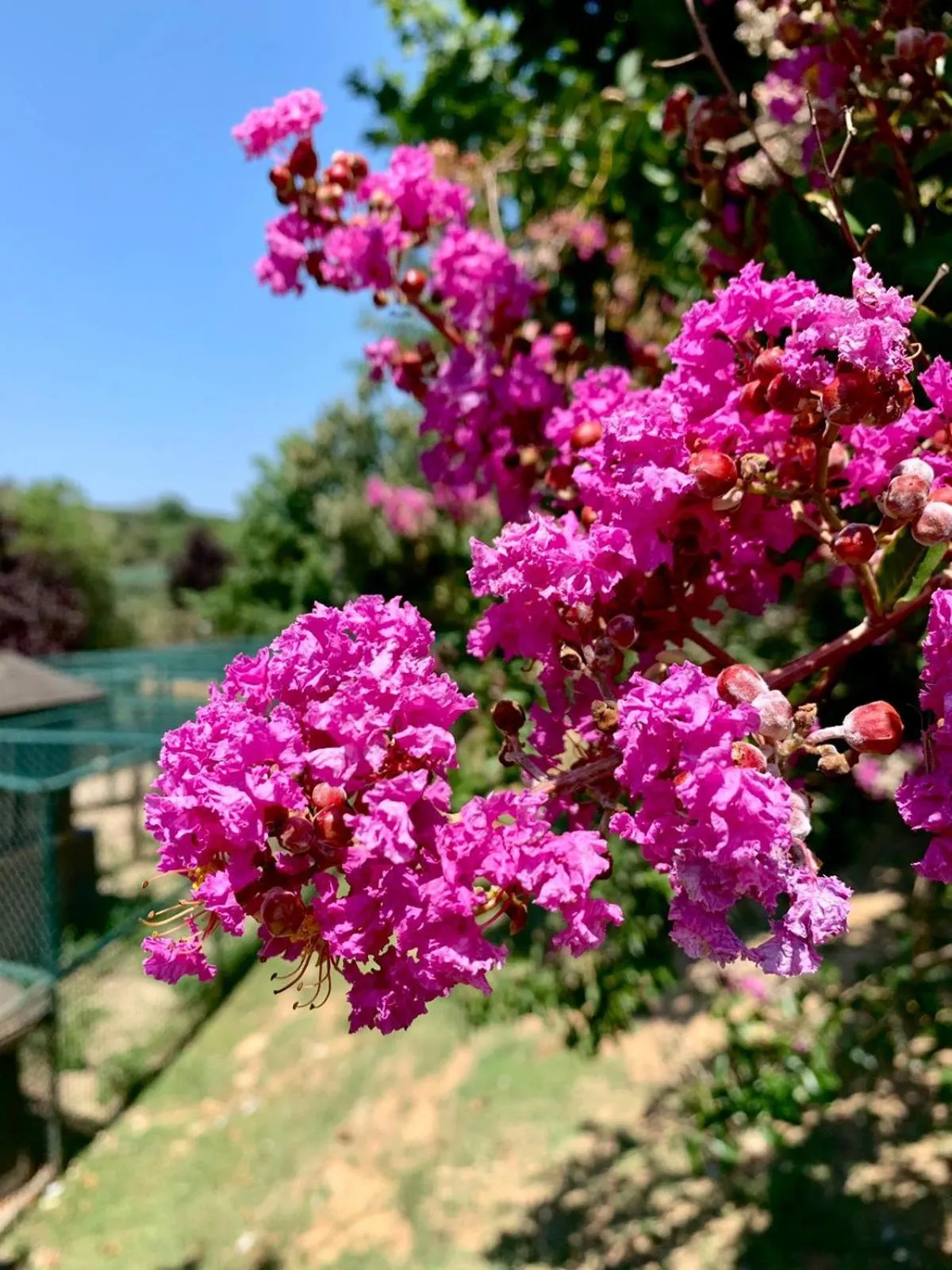 Garden in Polonezköy Country Club & Accommodation in the Wildlife Park!