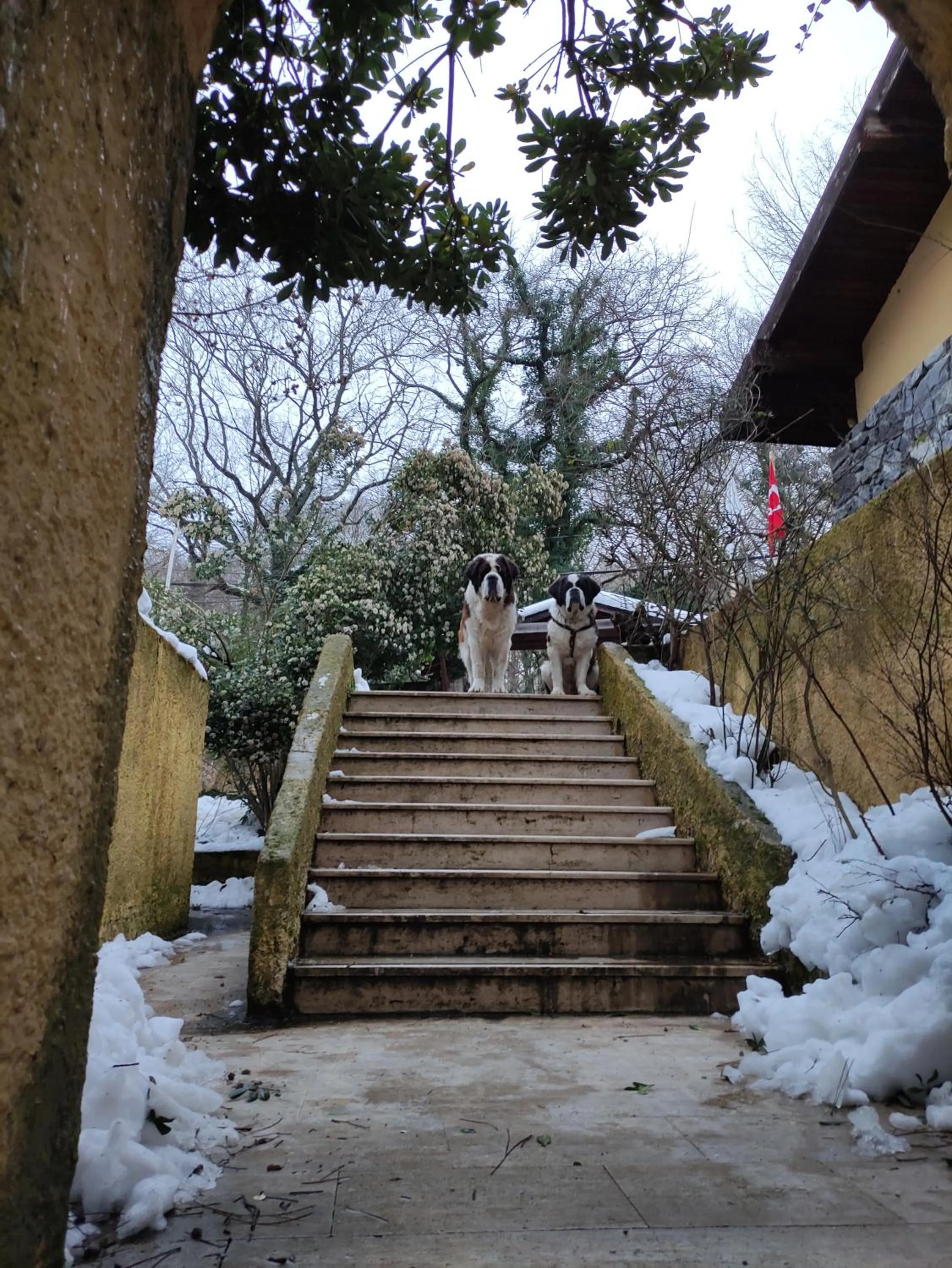 Property building in Polonezköy Country Club & Accommodation in the Wildlife Park!