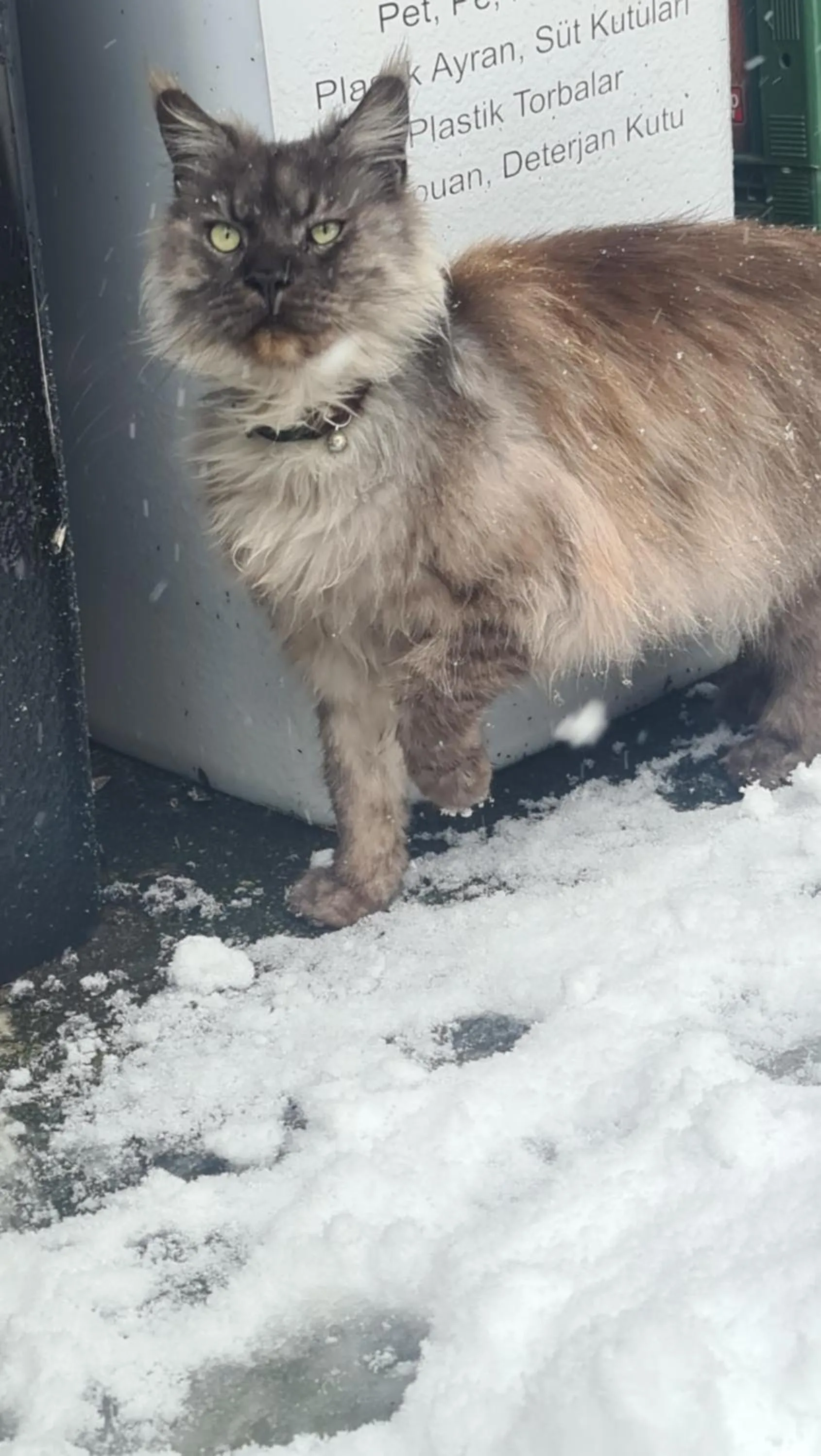 Animals in Polonezköy Country Club & Accommodation in the Wildlife Park!