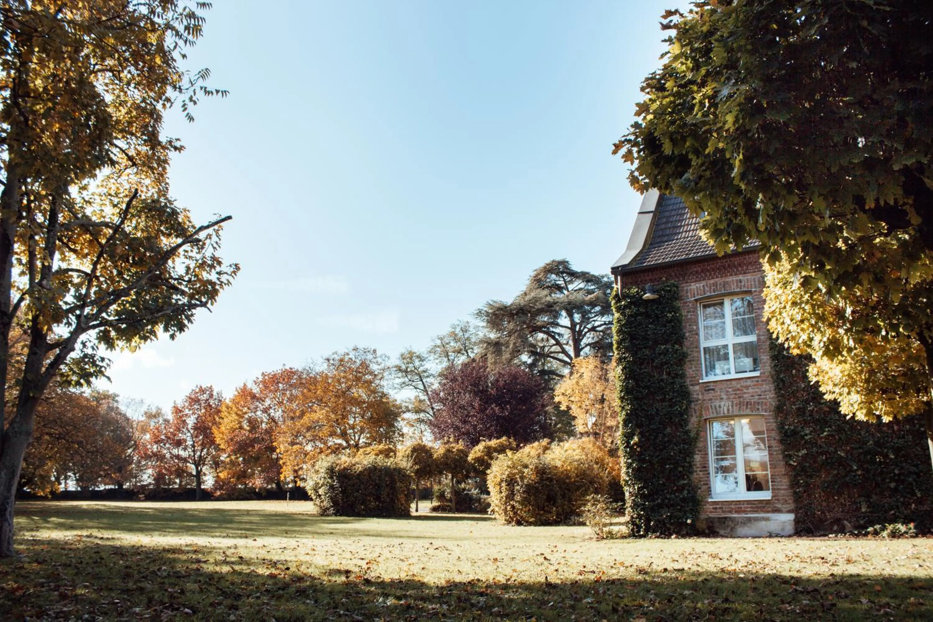 Garden in Clostermanns Hof