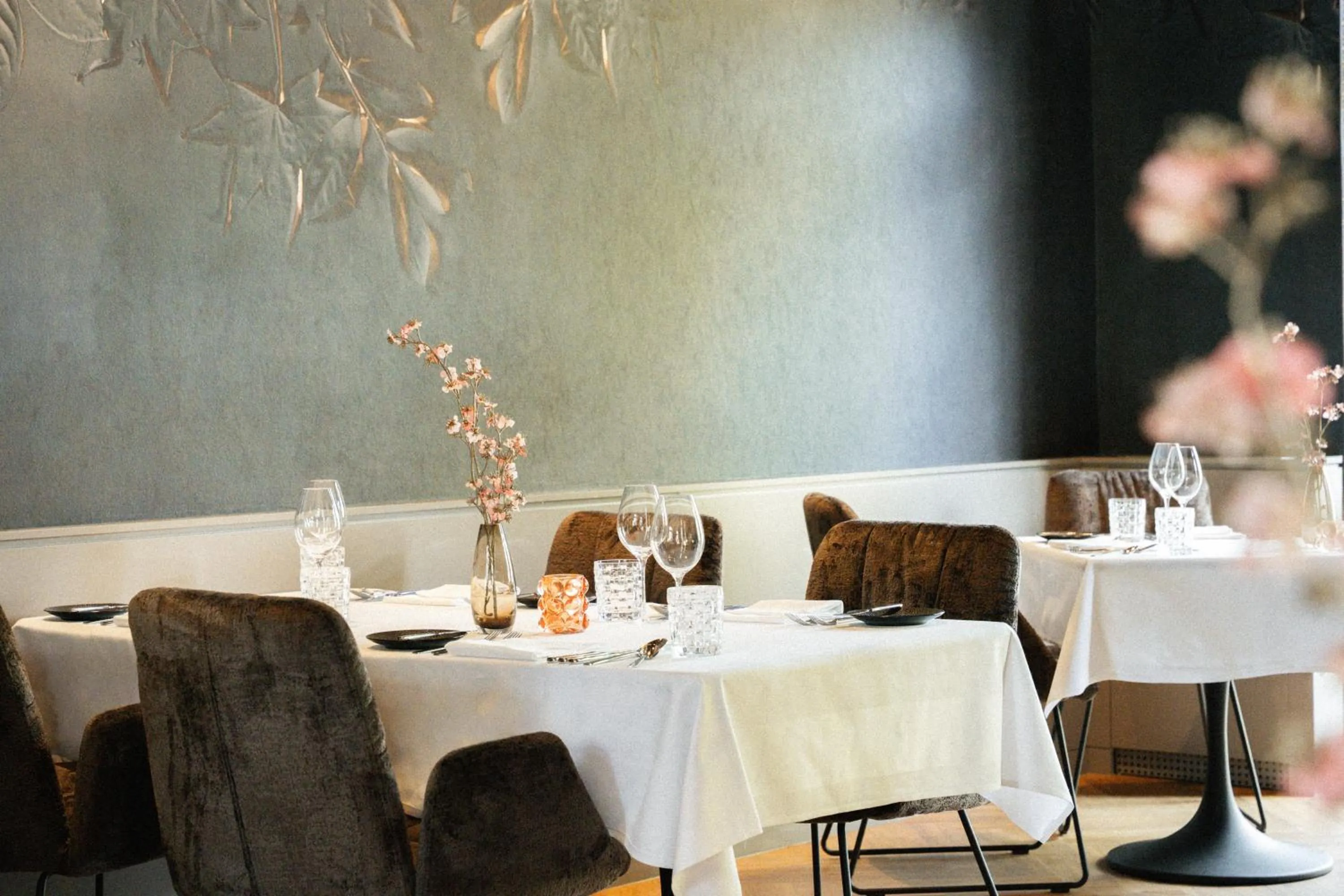 Restaurant/places to eat in Clostermanns Hof