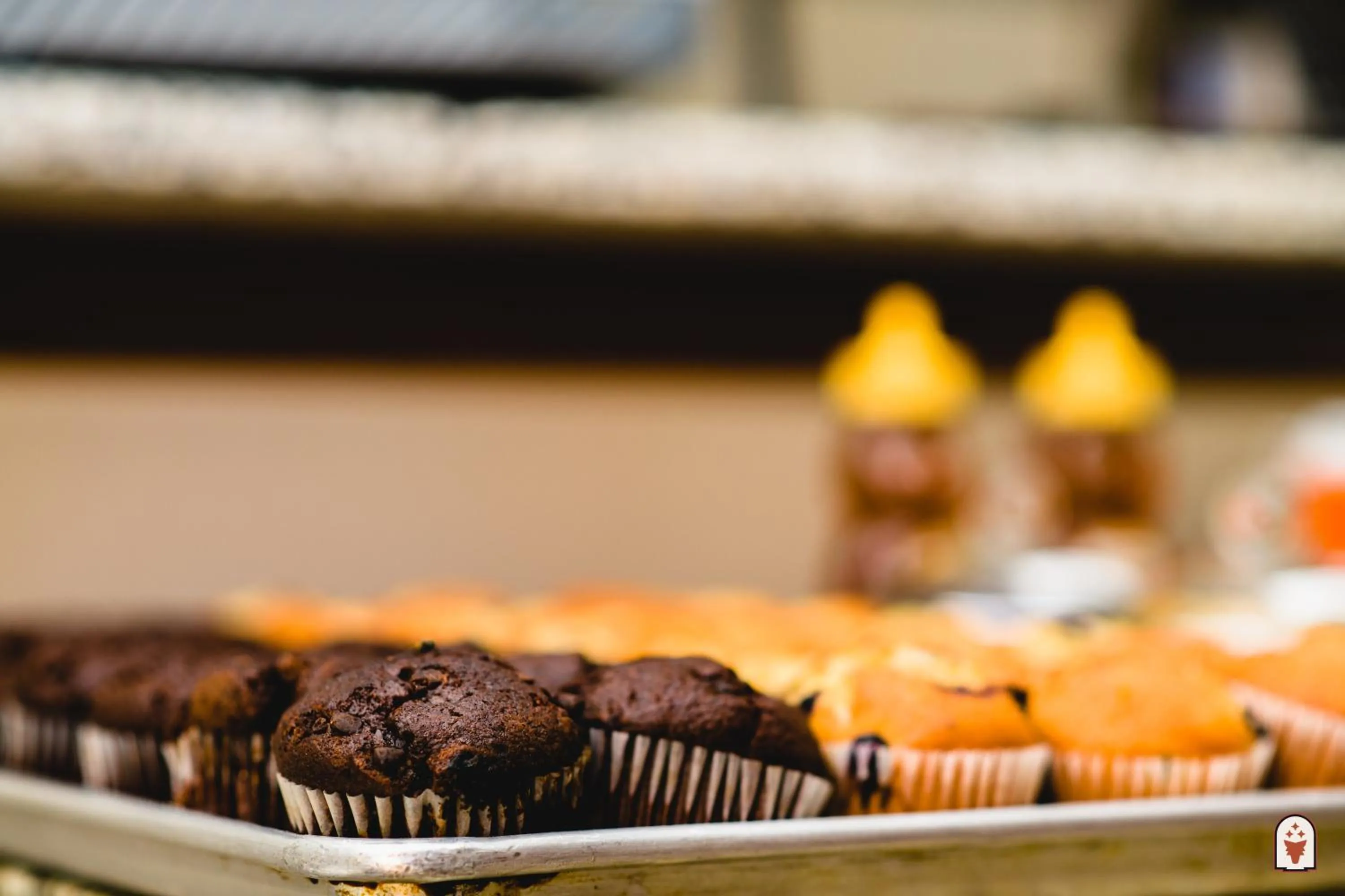 Breakfast in Coyote South