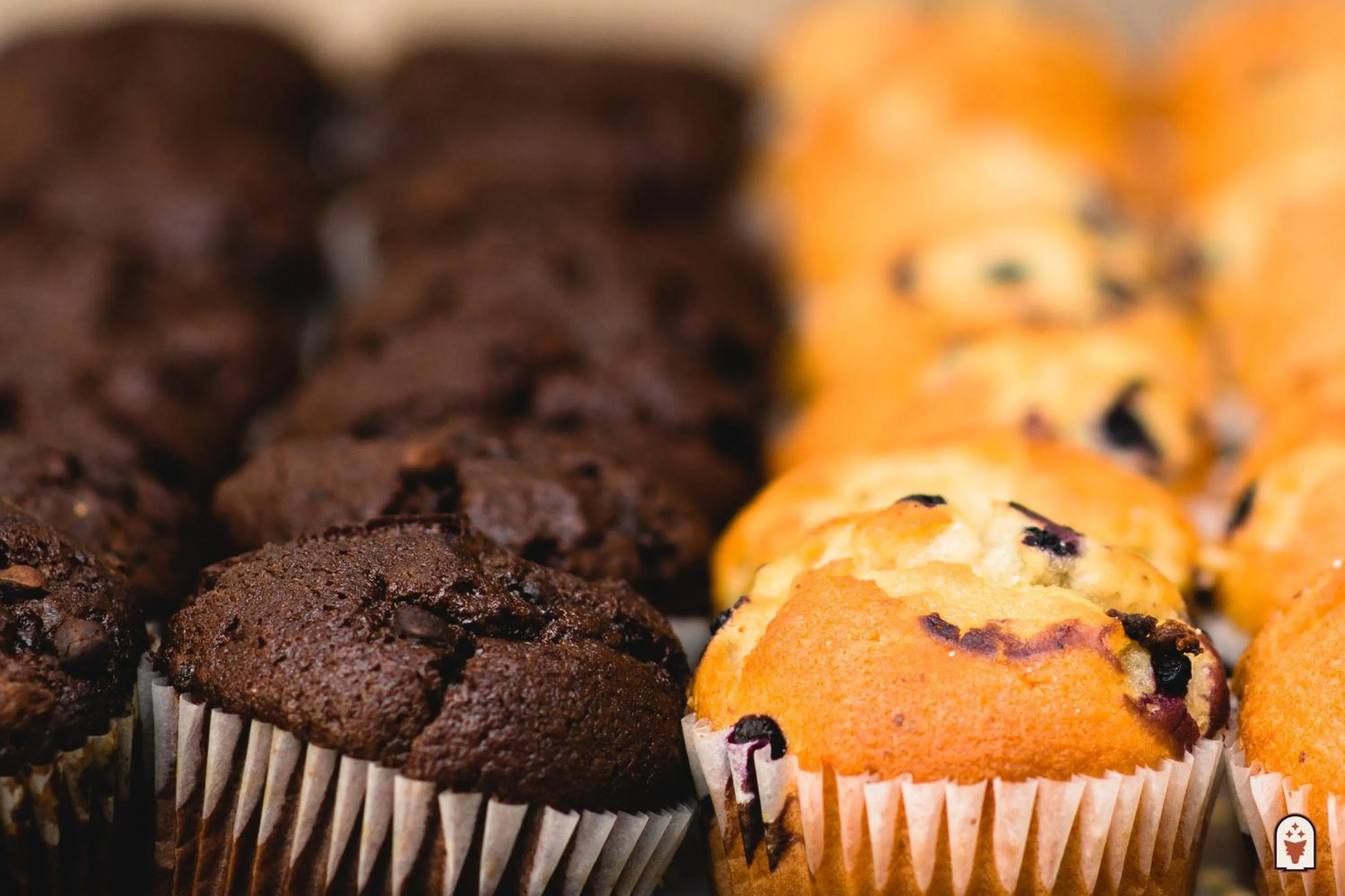 Continental breakfast in Coyote South