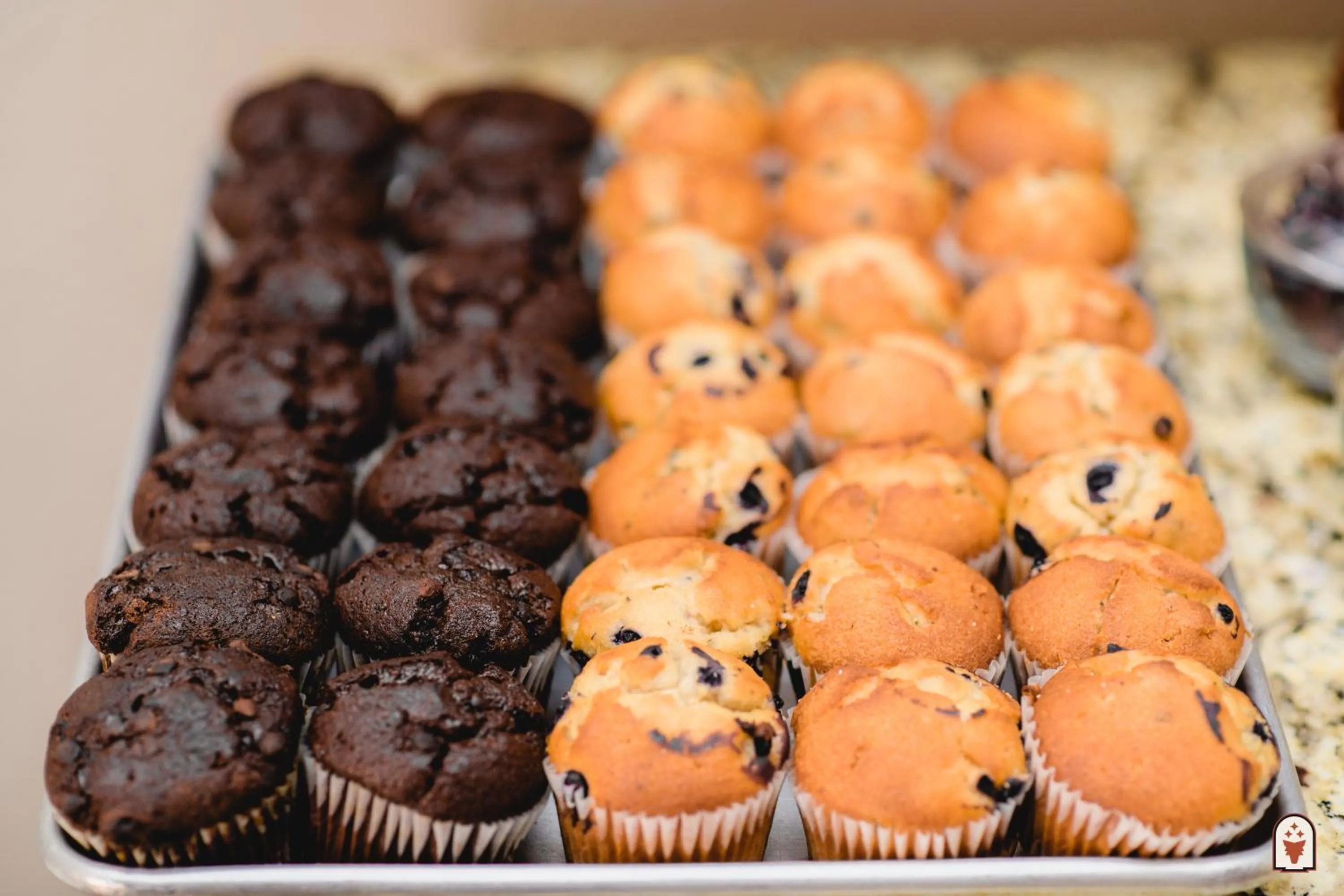 Continental breakfast in Coyote South