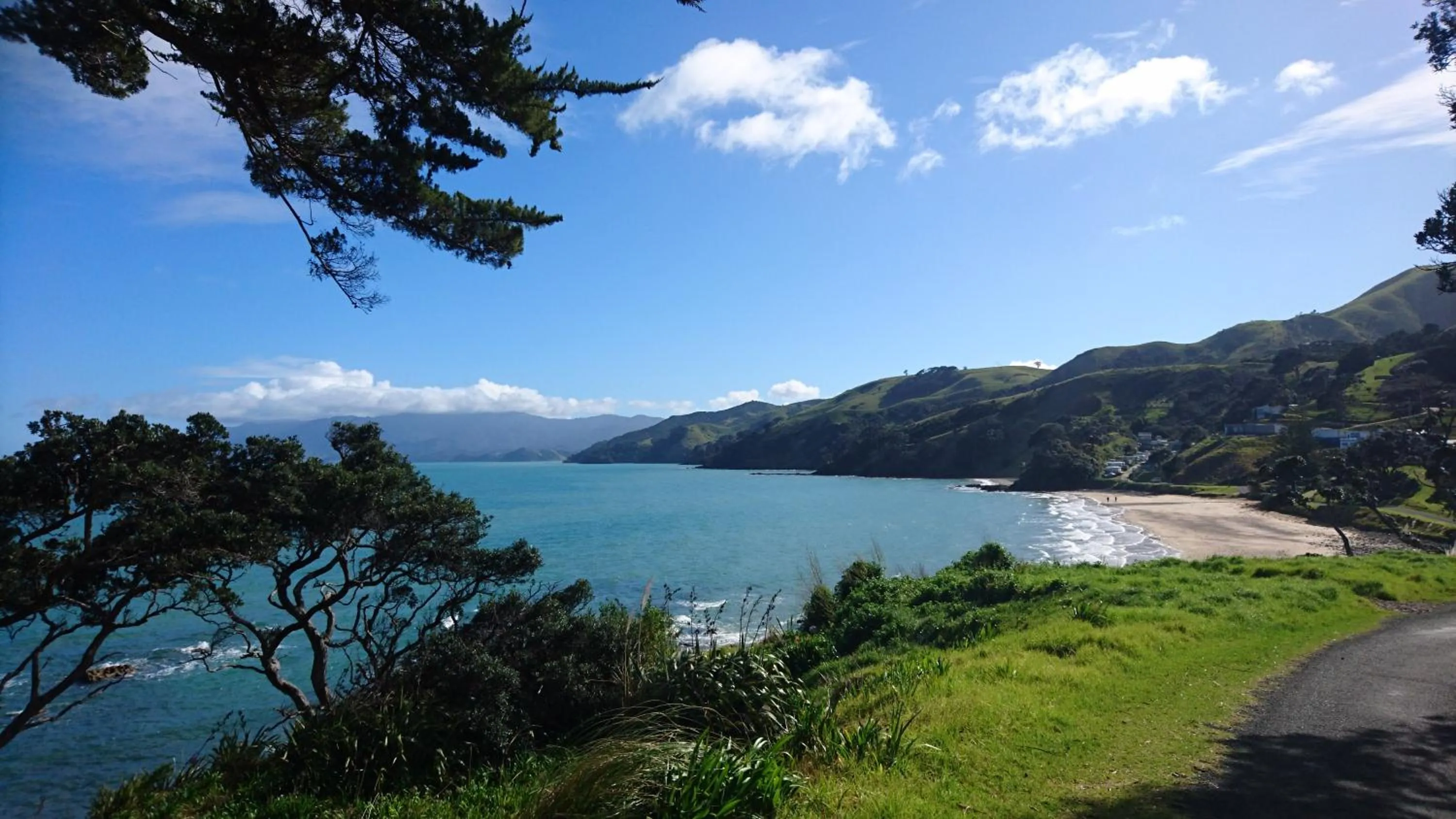 Natural landscape in Anglers Lodge