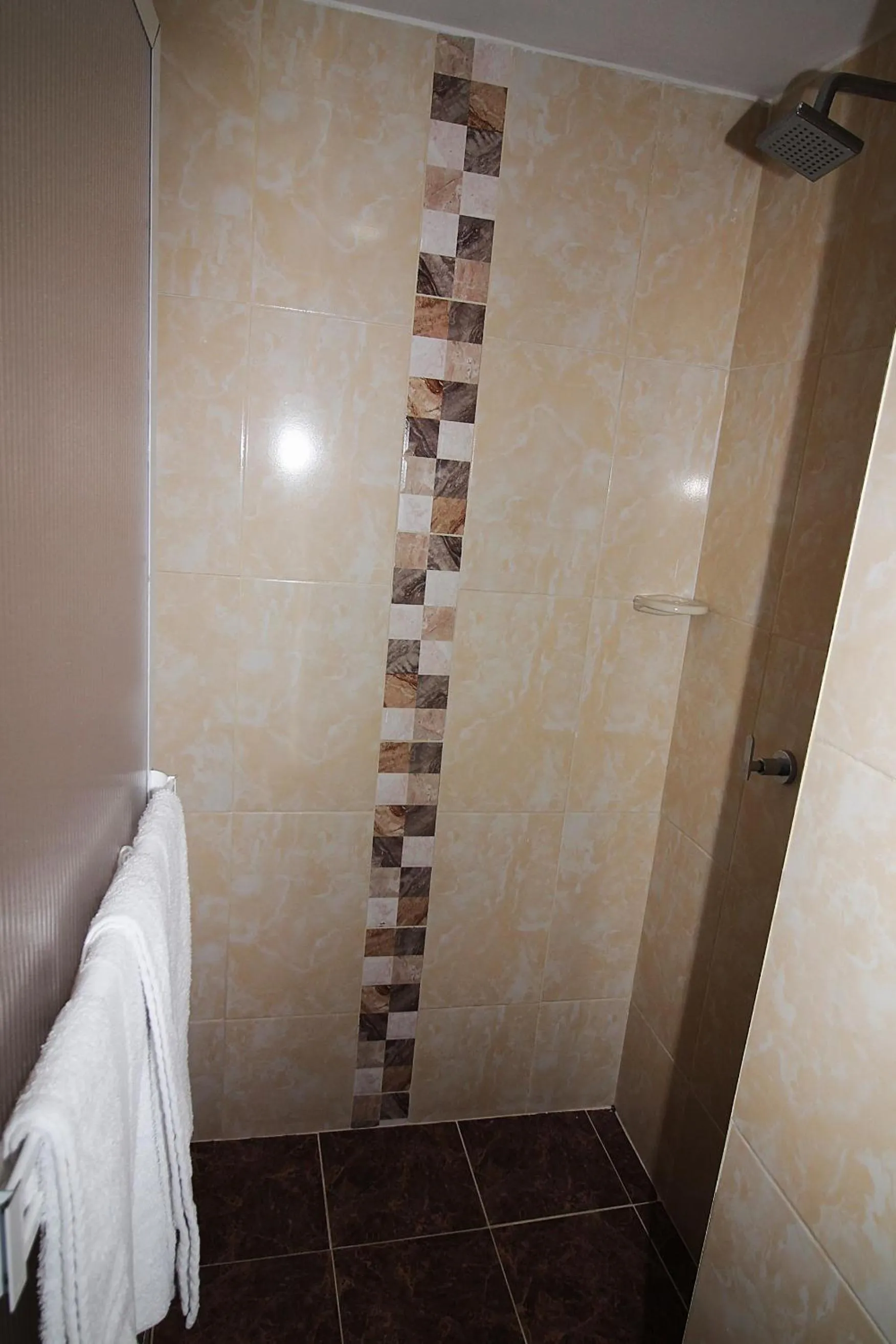 Shower in DAM Hotel Pereira