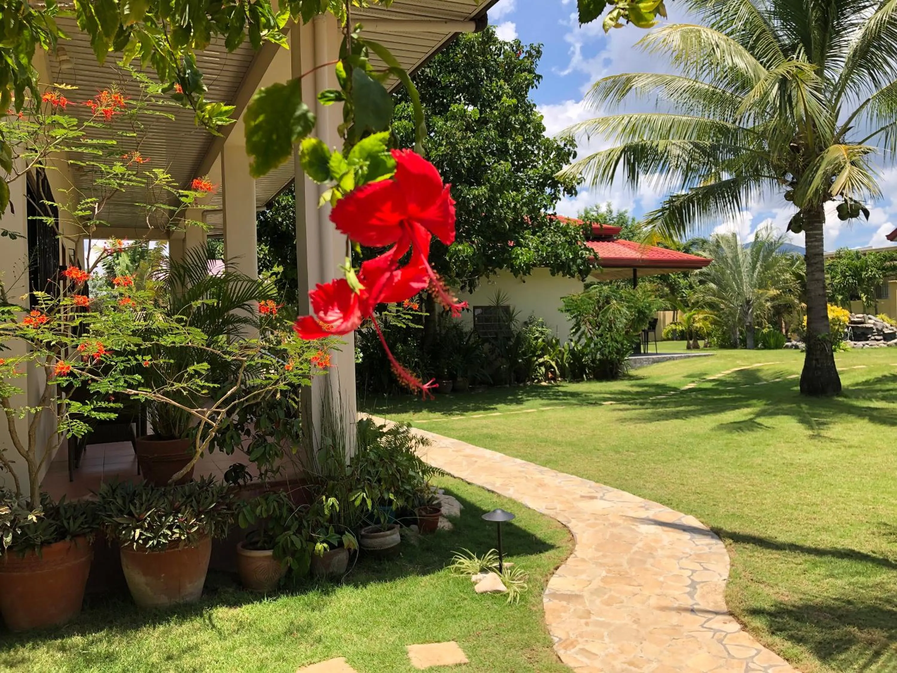 Garden in Strutz Art Garden Resort