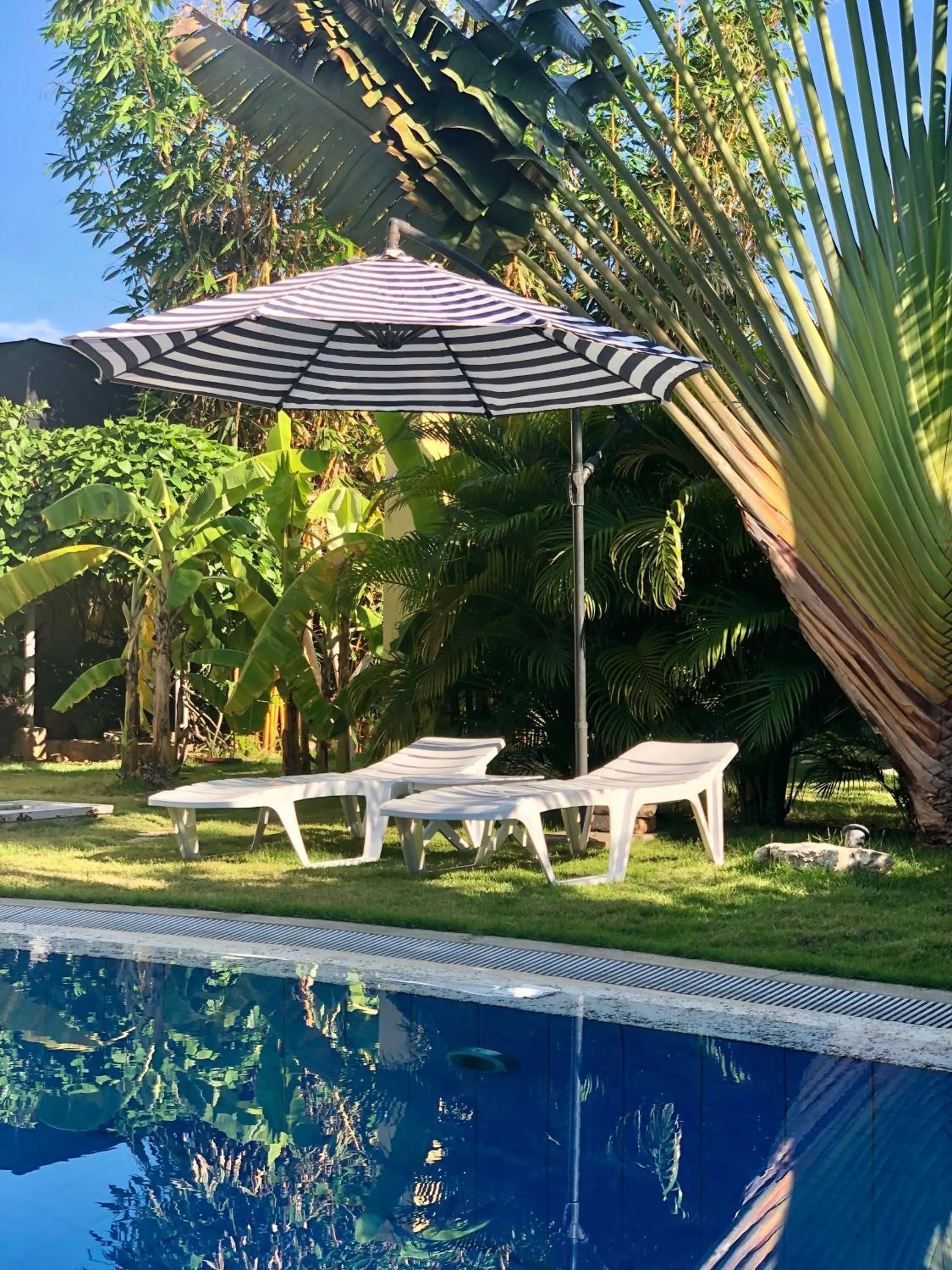 Pool view in Strutz Art Garden Resort