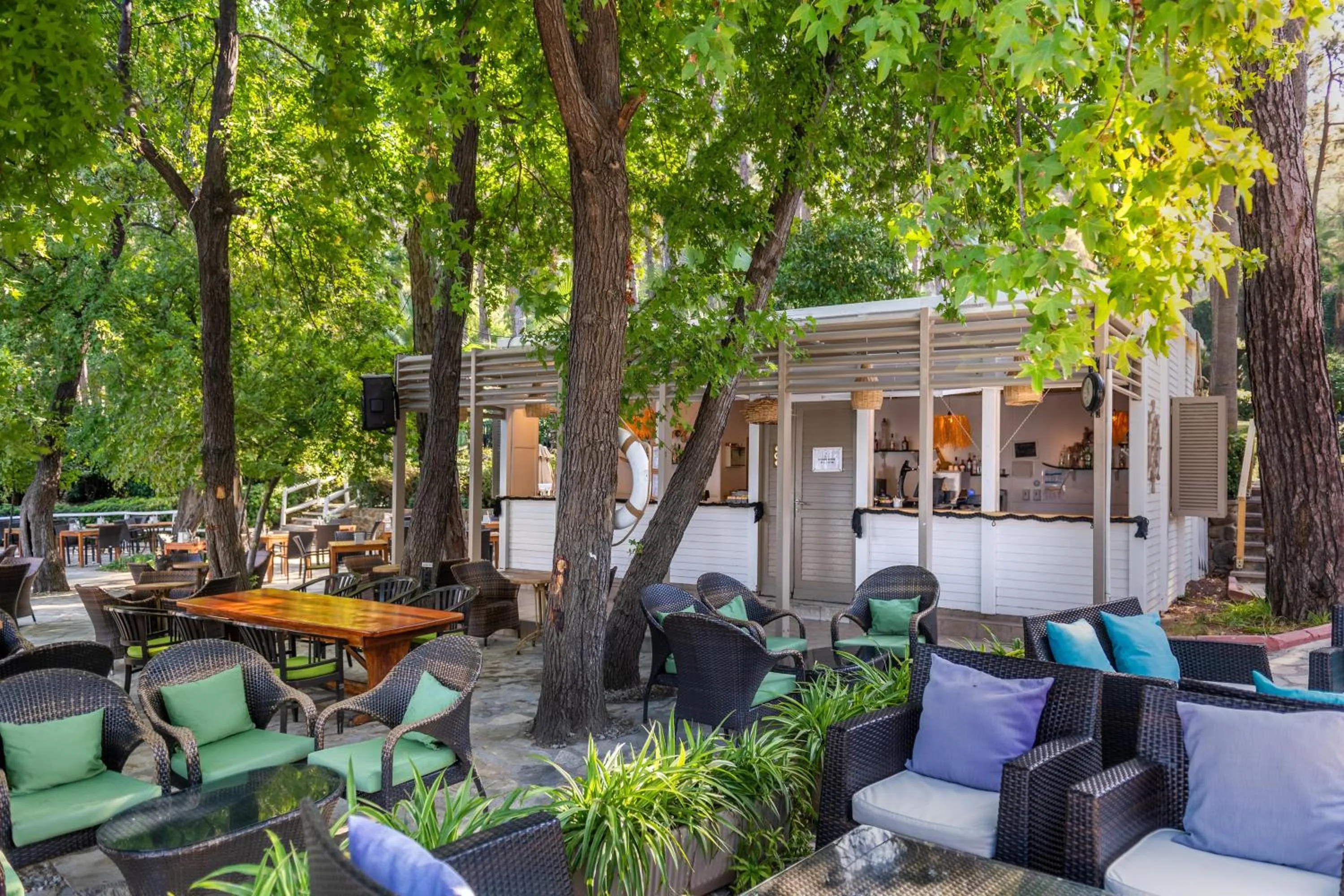 Lounge or bar in Marmaris Bay Resort - Adults Only