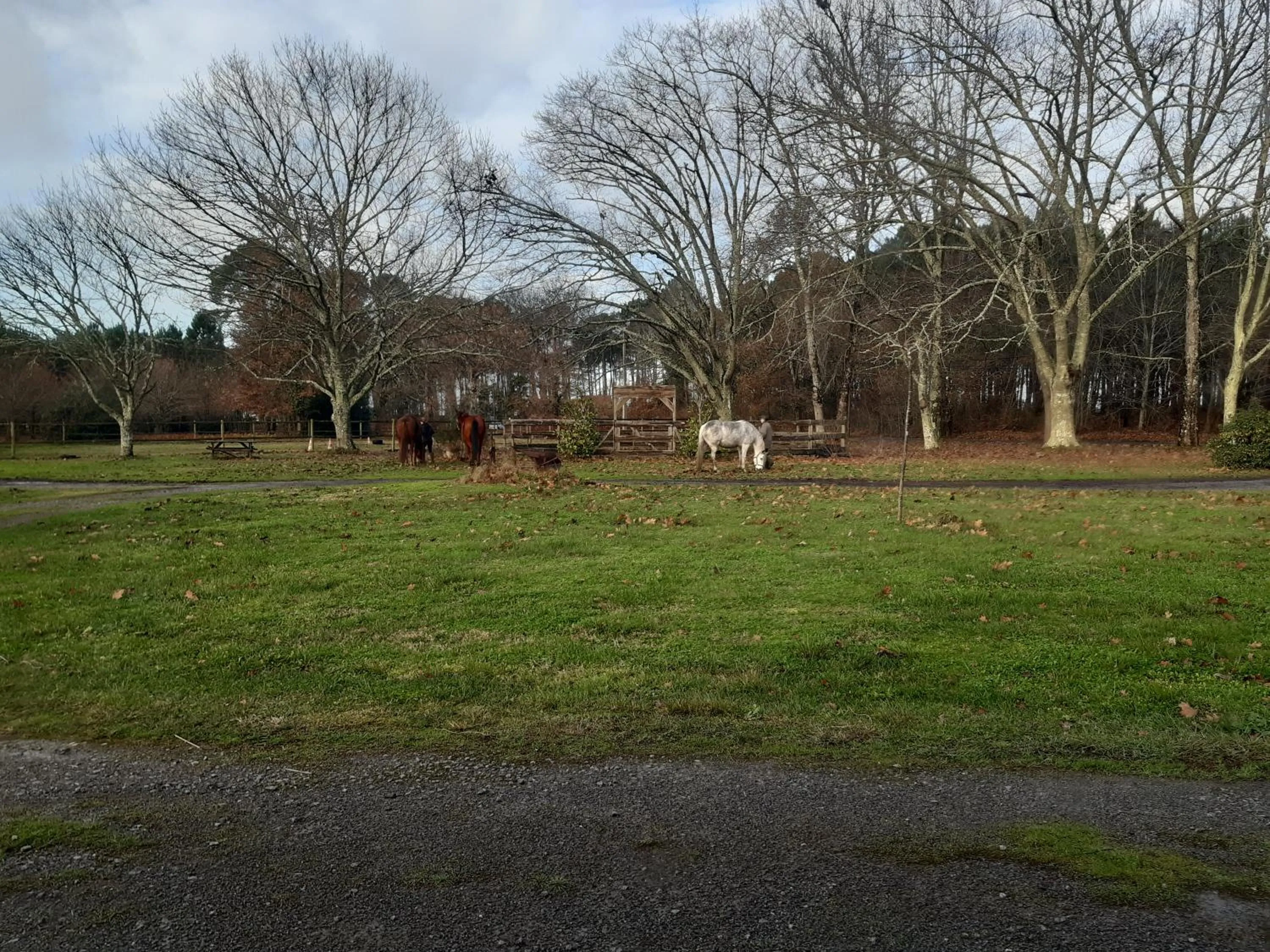 Garden in Domaine de l’Escuderia