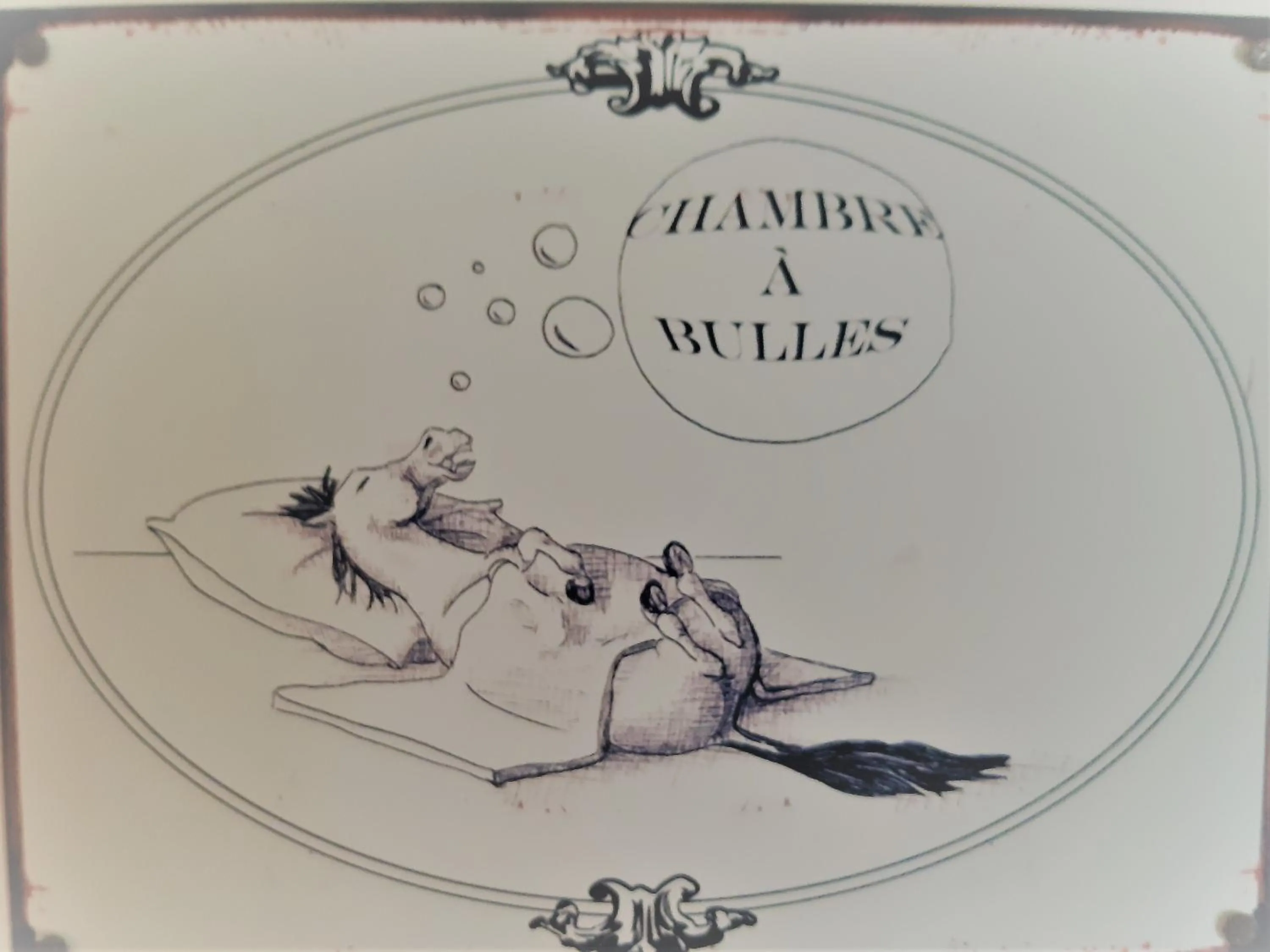Logo/Certificate/Sign in Domaine de l’Escuderia