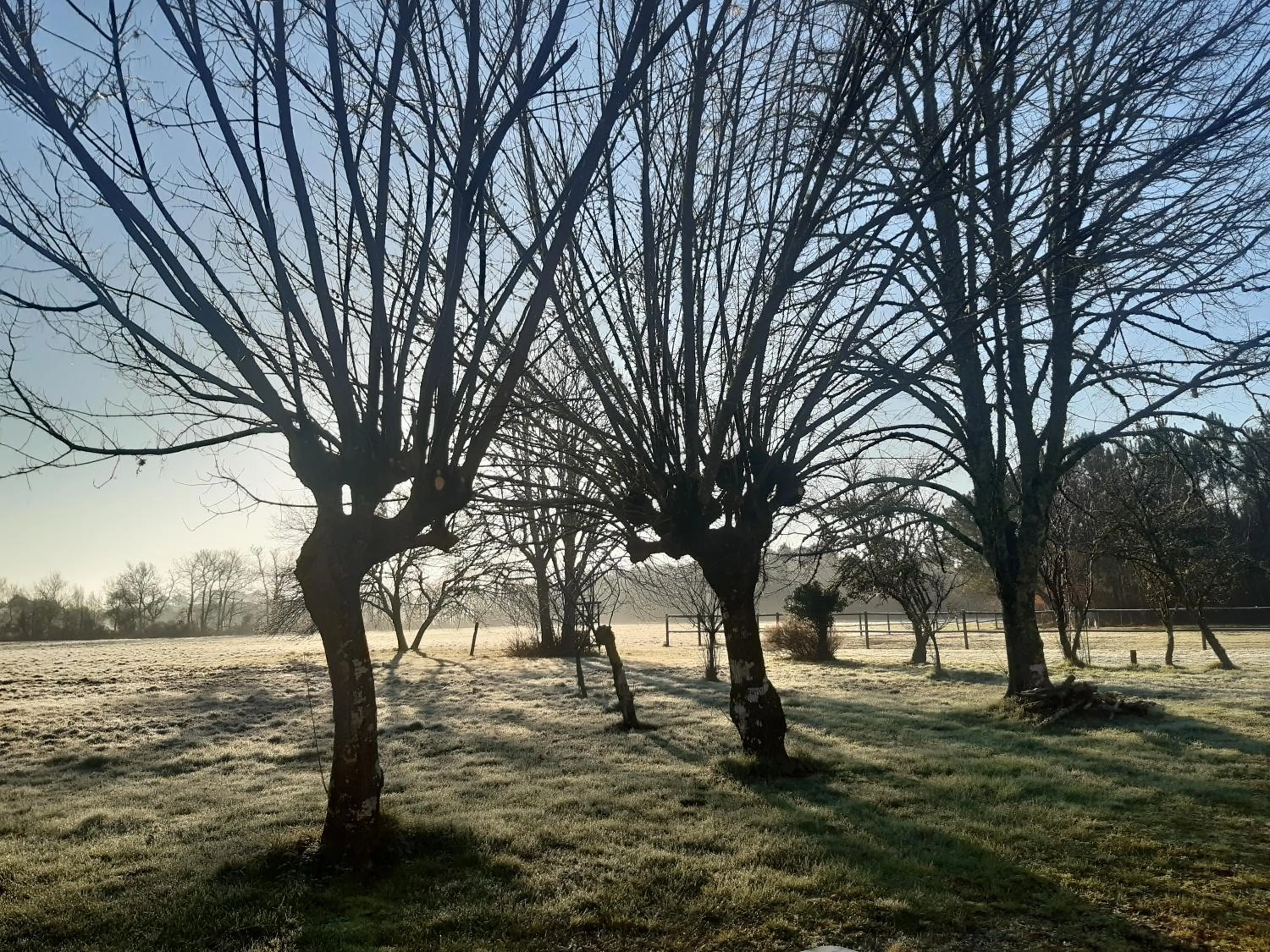 Natural landscape in Domaine de l’Escuderia