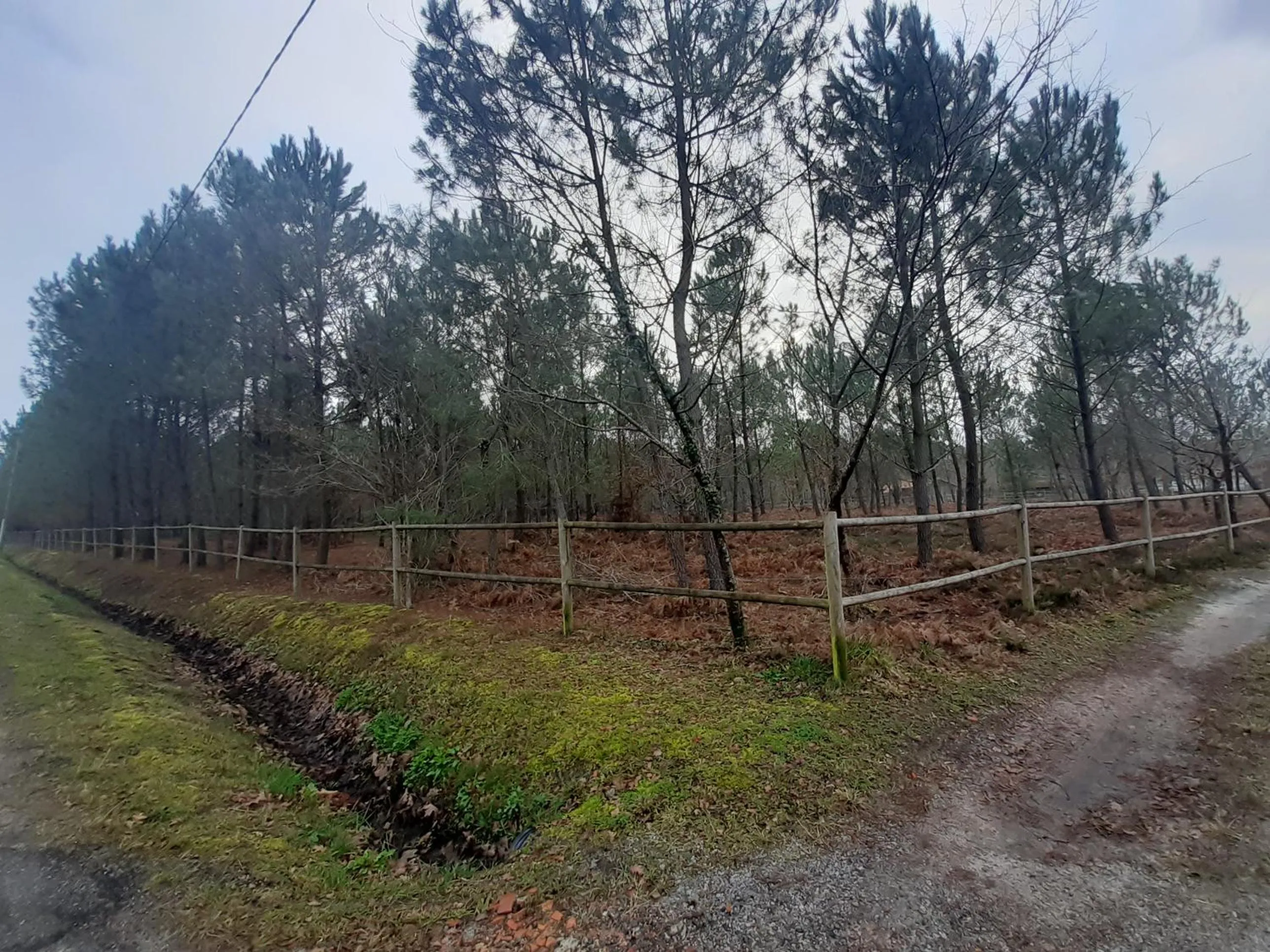 Property building in Domaine de l’Escuderia