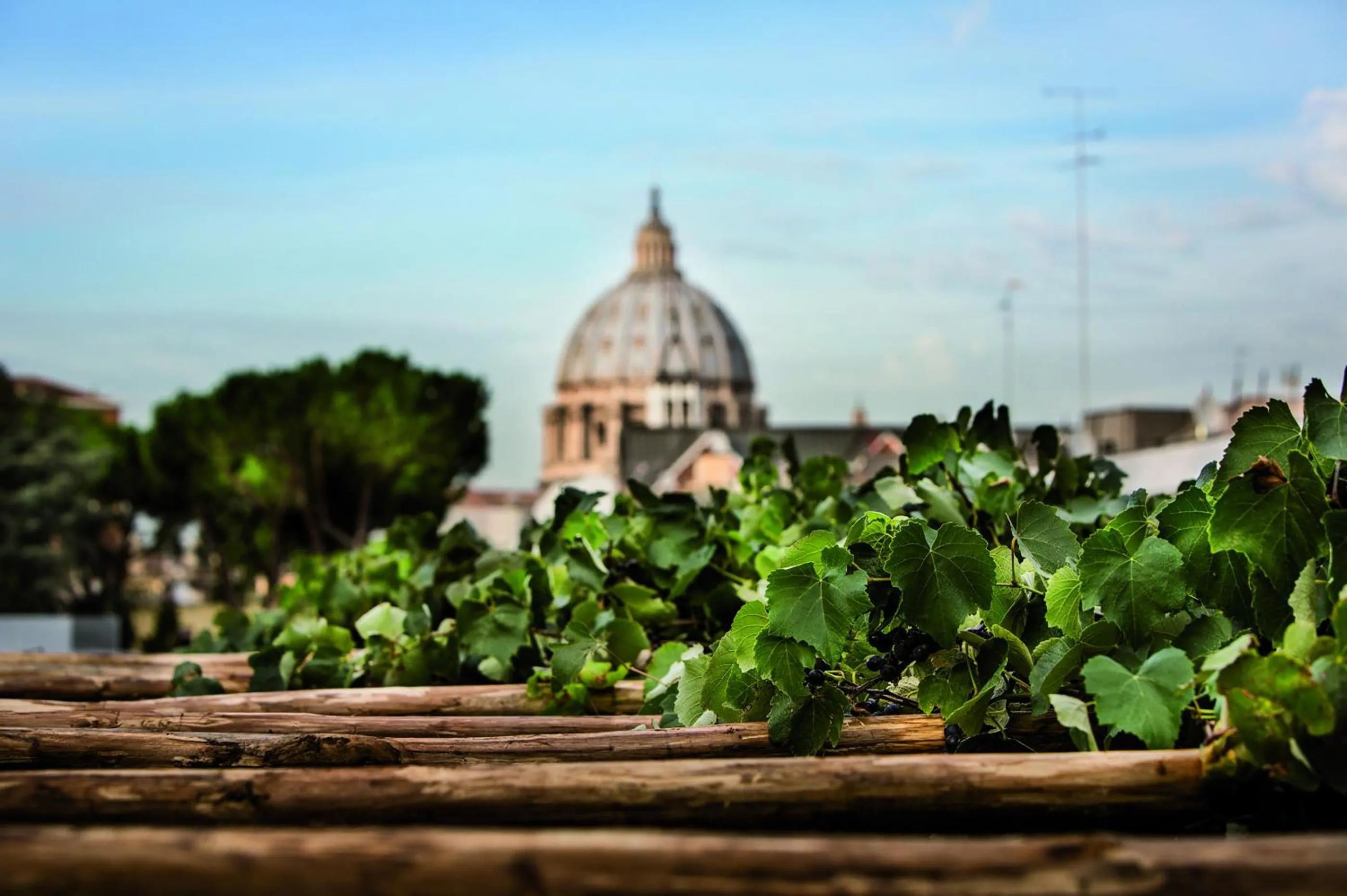 Nearby landmark in Hotel Il Cantico St. Peter