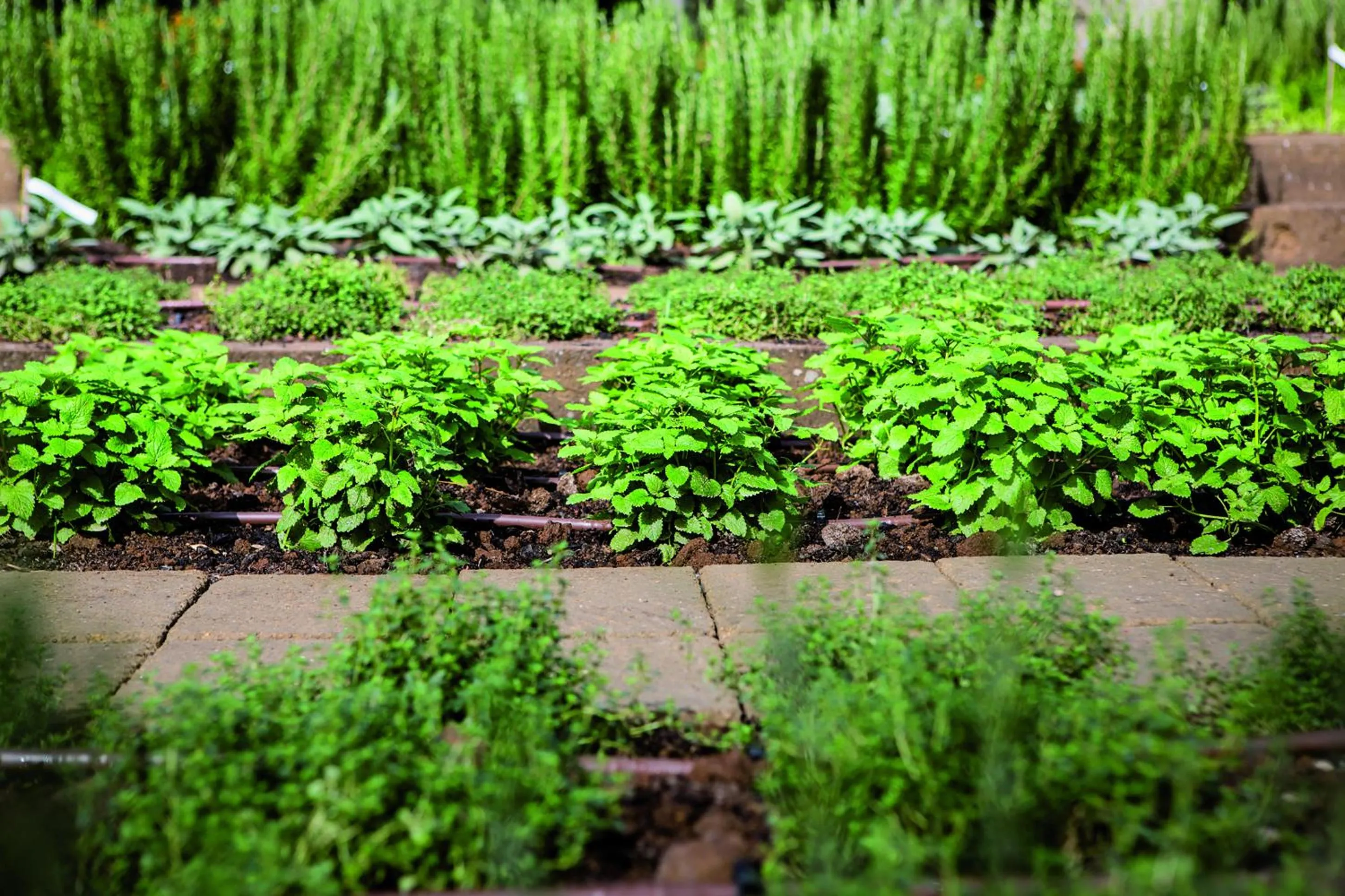 Other in Hotel Il Cantico St. Peter