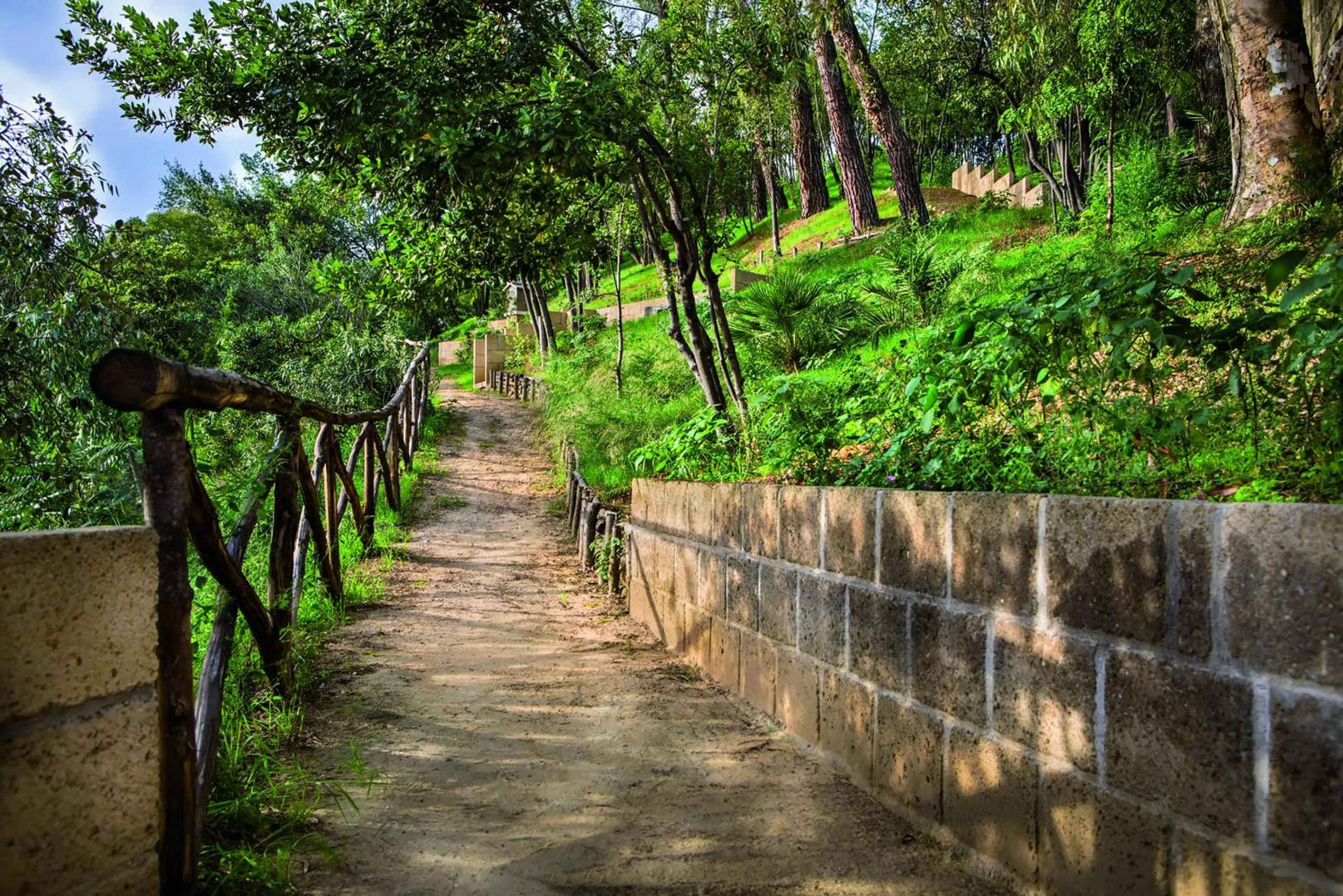 Garden in Hotel Il Cantico St. Peter