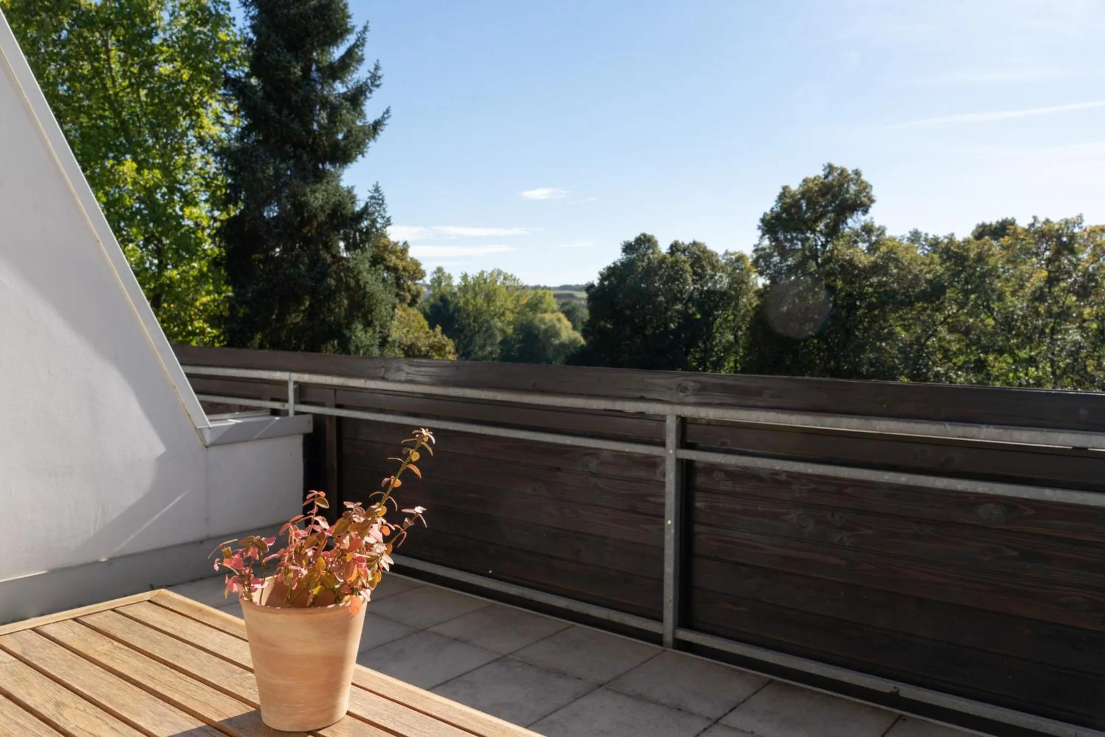 Day in Hotel Bergschlößchen