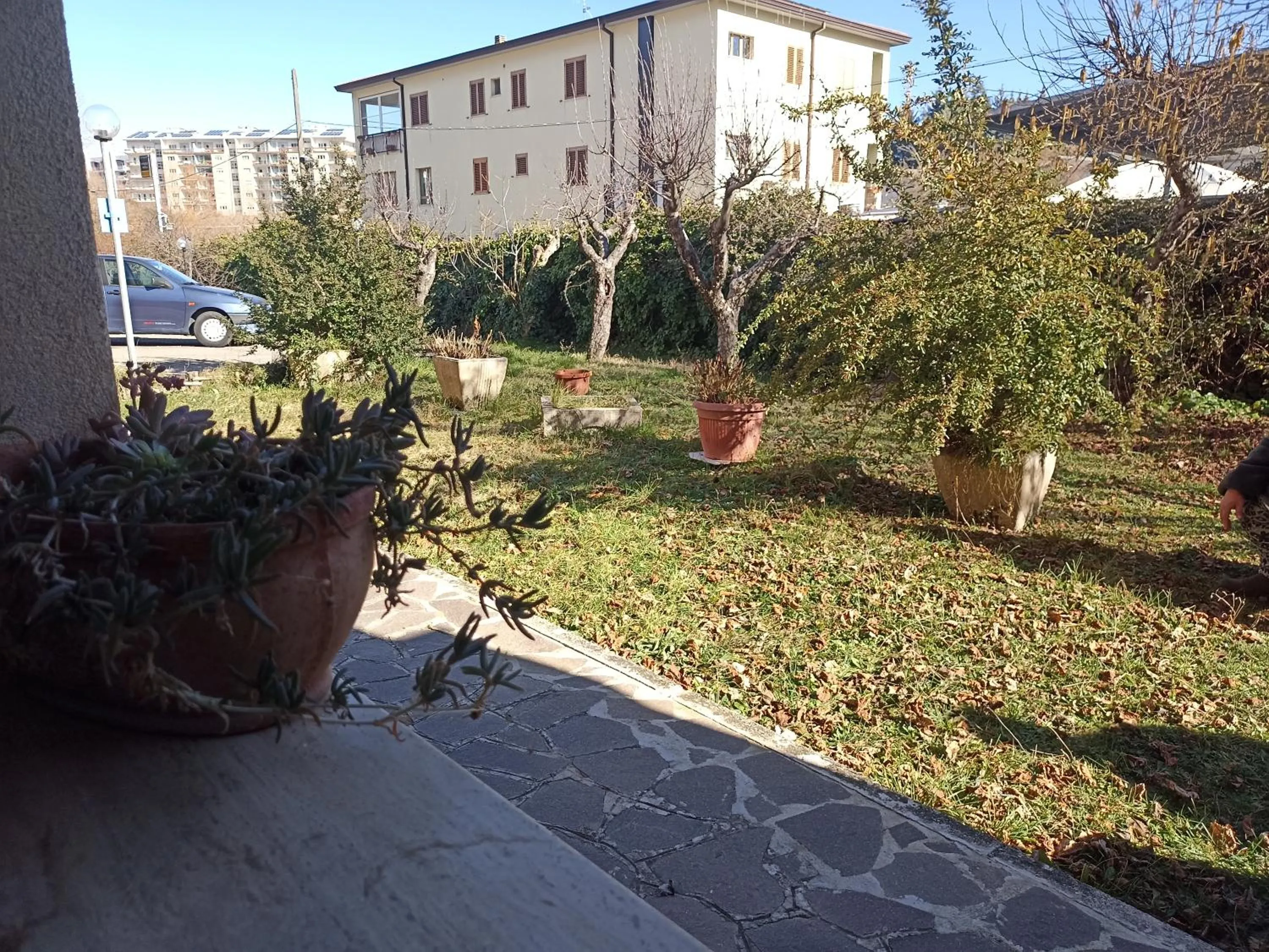 Garden, Property Building in open