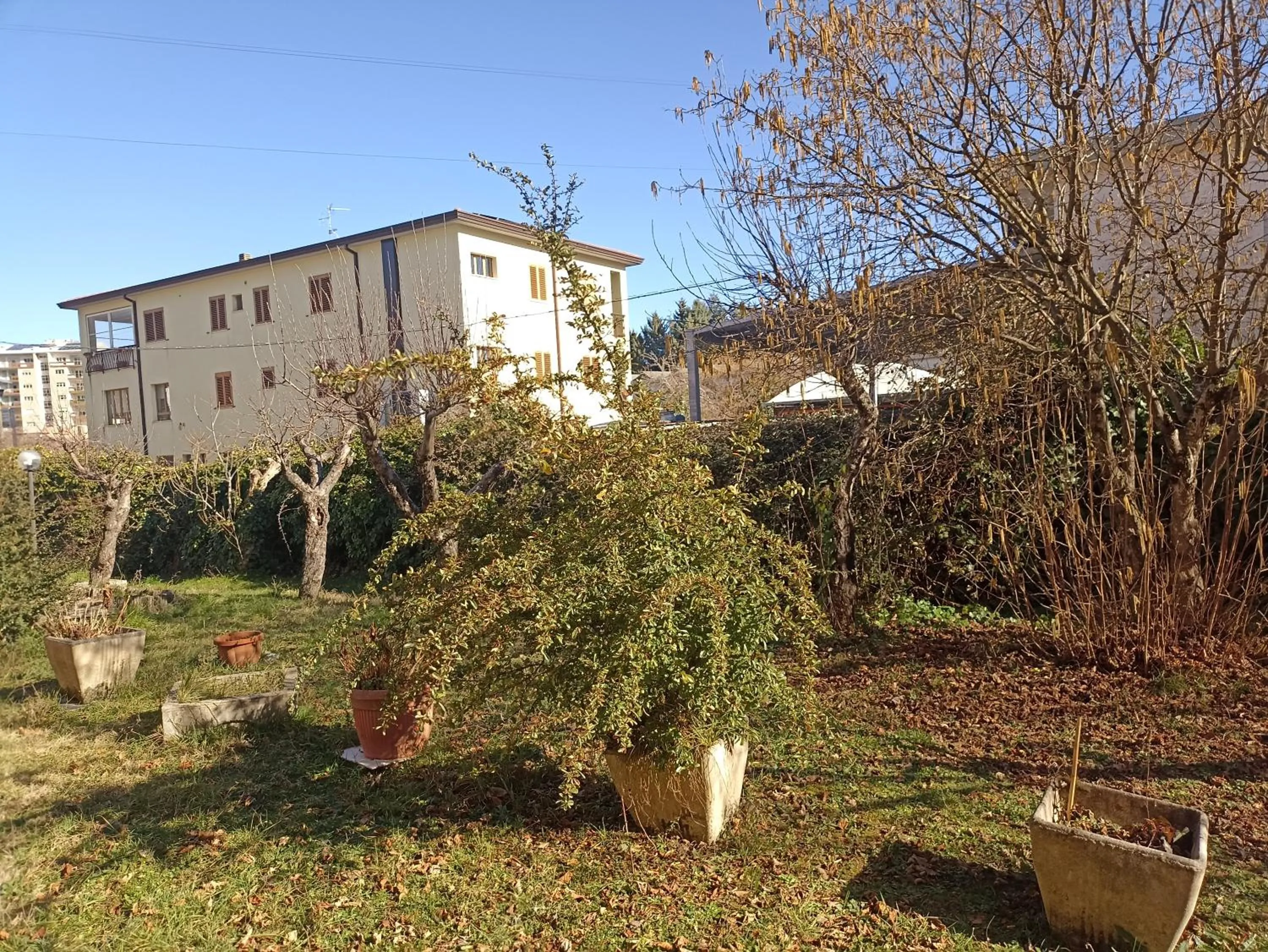 Garden, Property Building in open