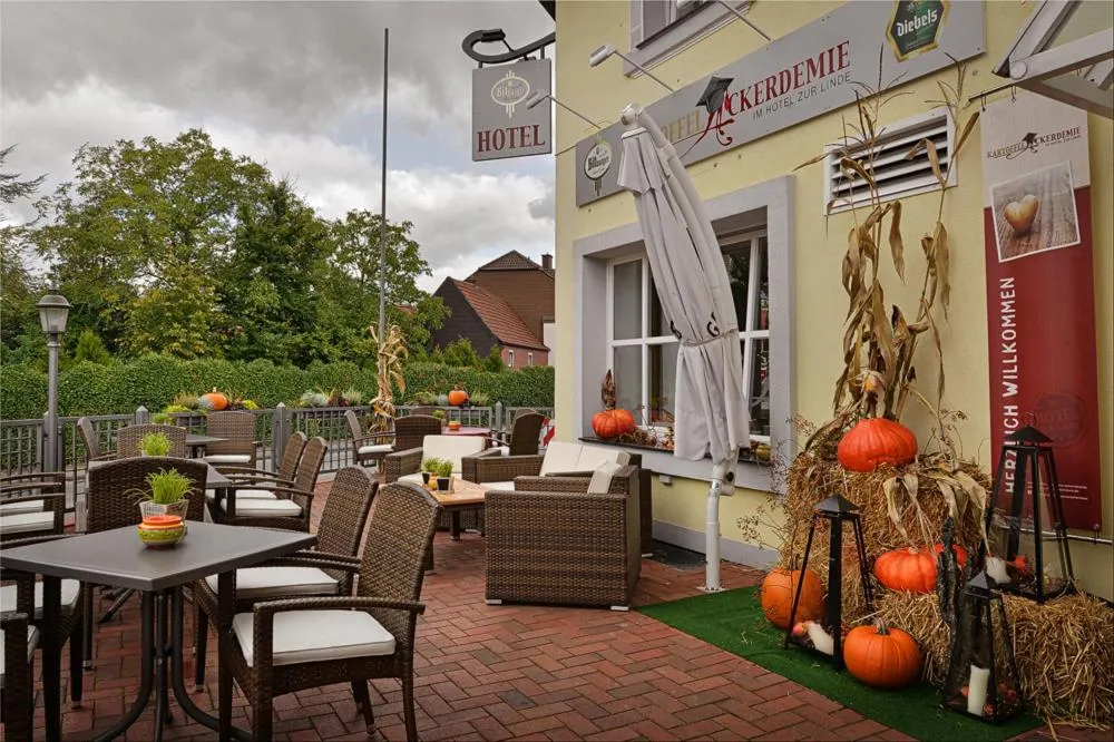 Balcony/Terrace in Hotel Zur Linde