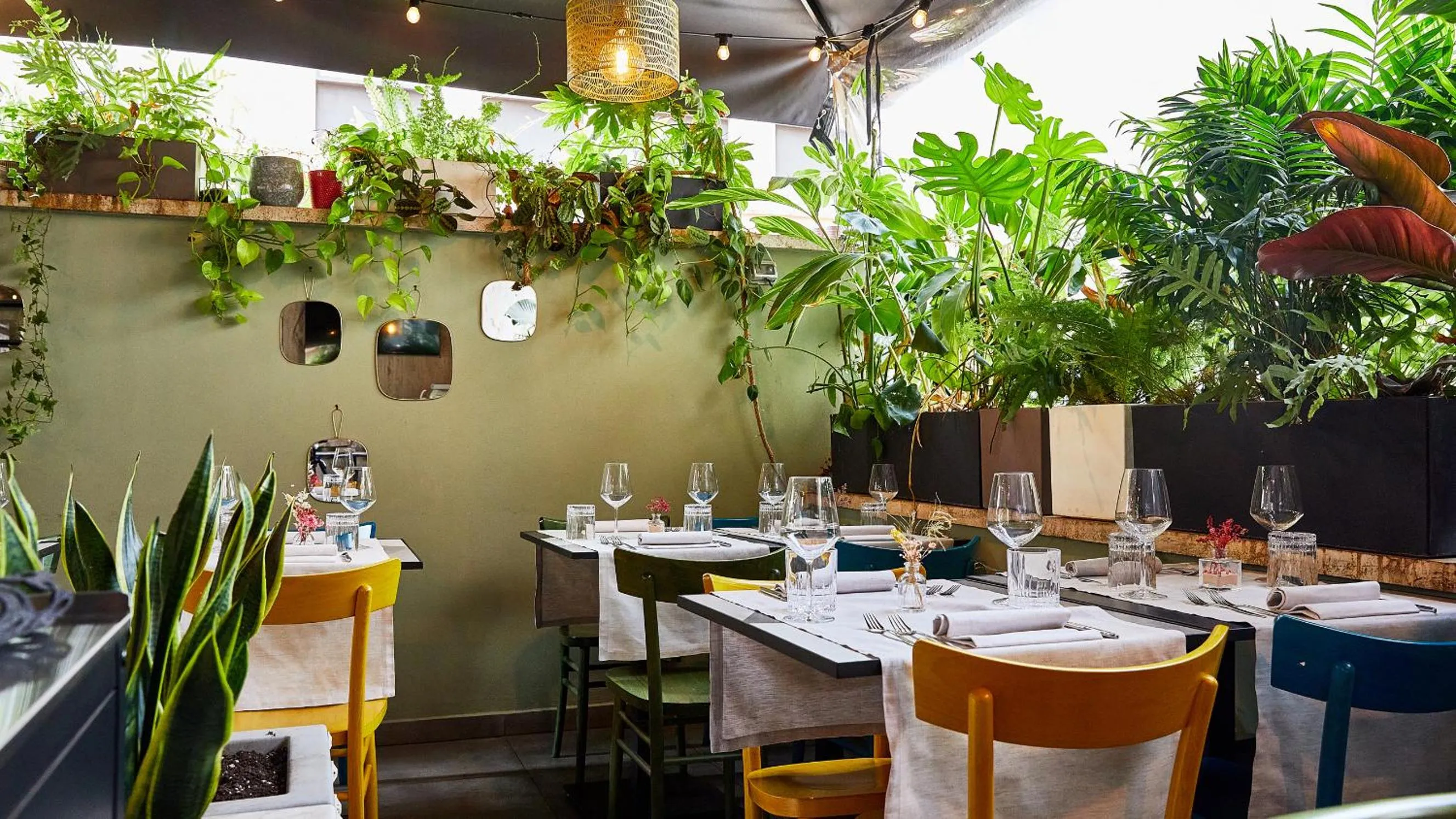 Garden in Apollo Boutique Hotel