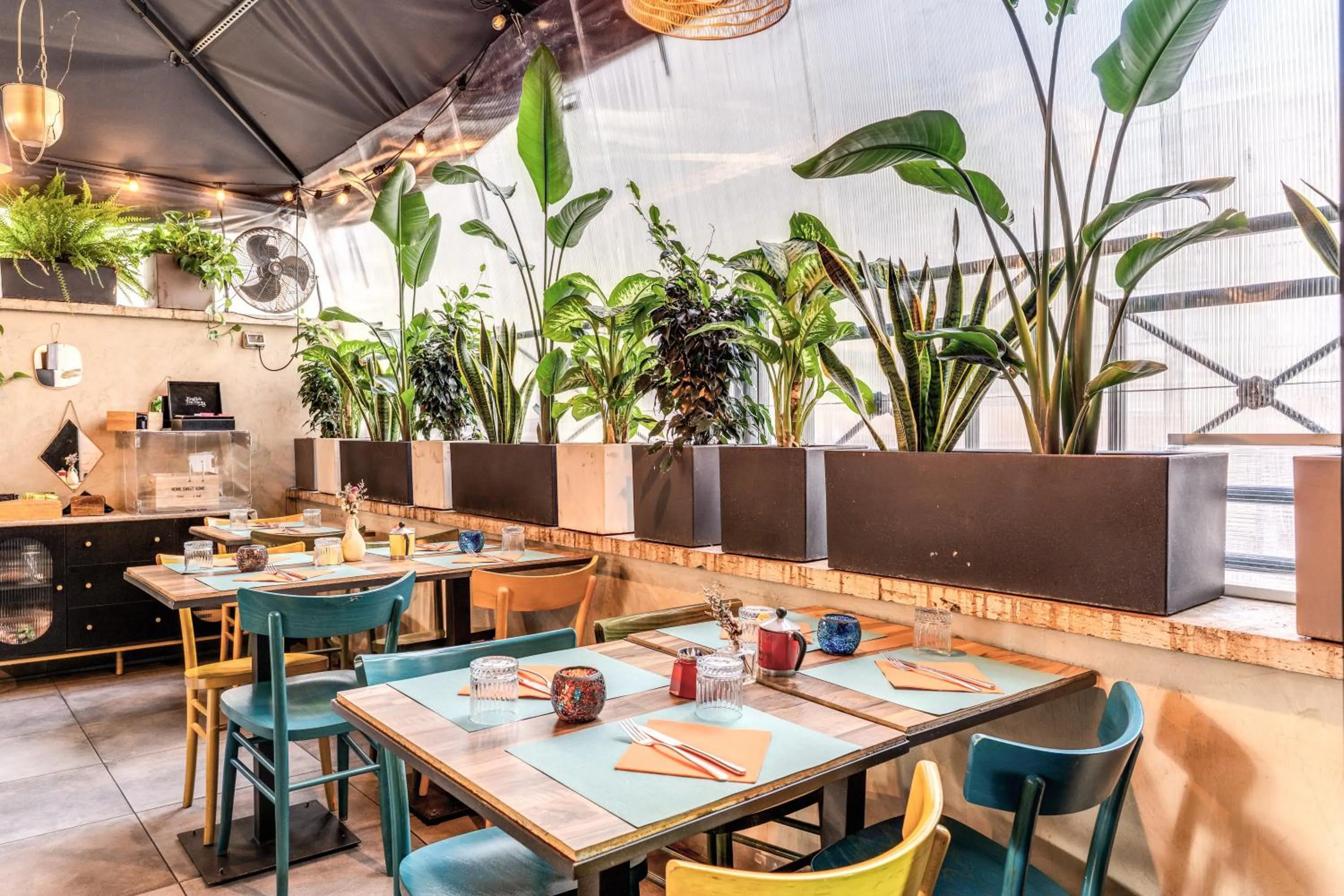 Garden in Apollo Boutique Hotel