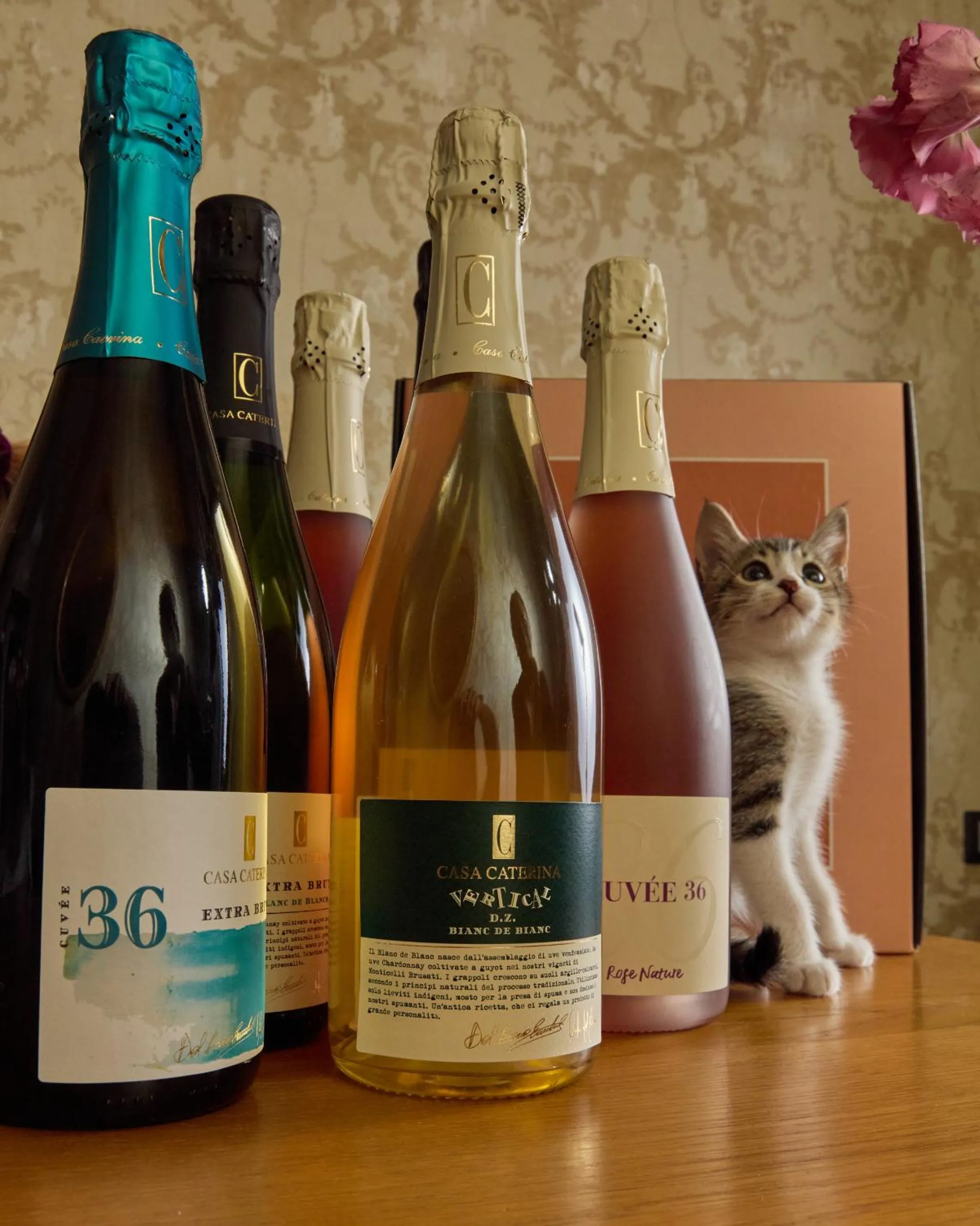 Staff in Apollo Boutique Hotel