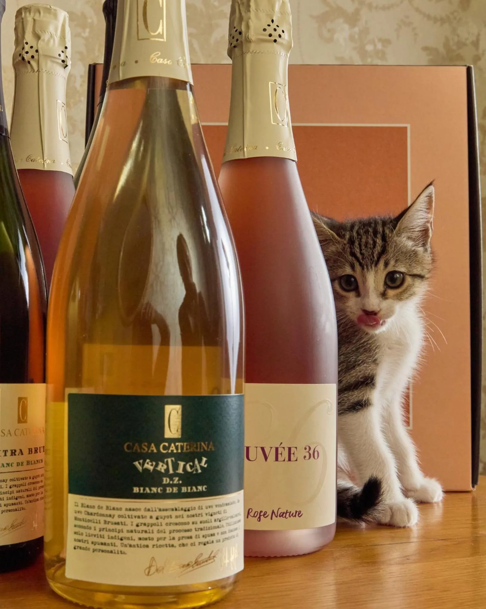 Lounge or bar in Apollo Boutique Hotel