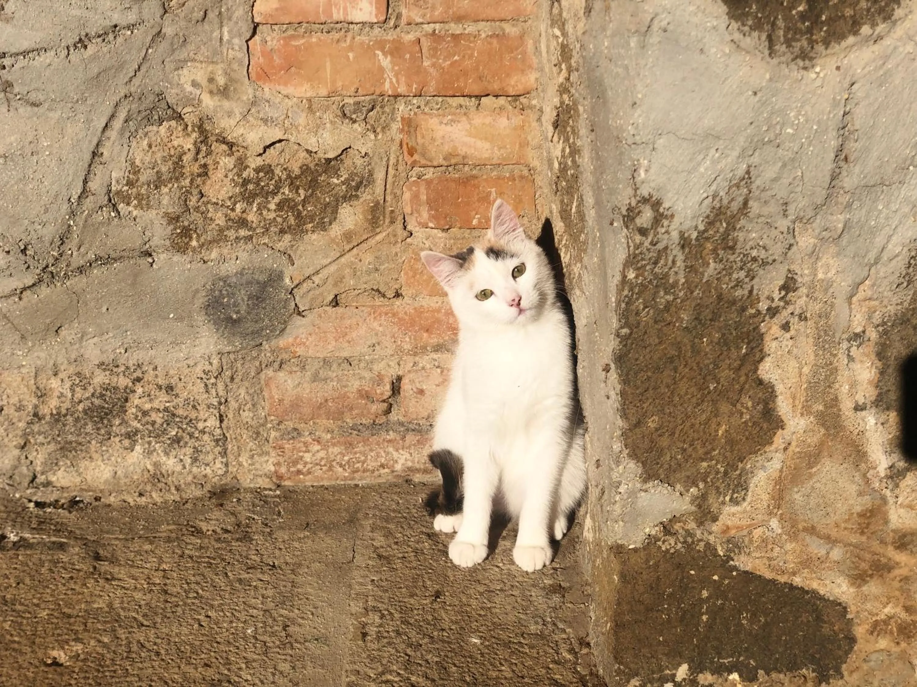 Casale Fedele Relax B&B Vicino al Borgo